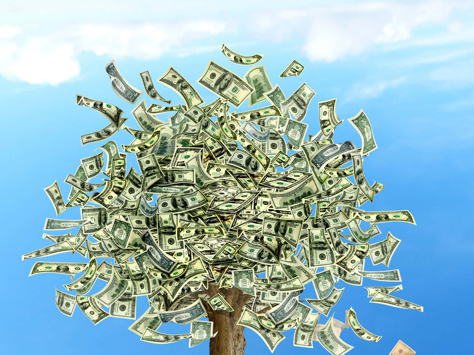 Money Falling 桌布 壁紙 — 一棵超現實的樹，樹枝由飛翔的百元美鈔組成，背景是明亮的藍天。