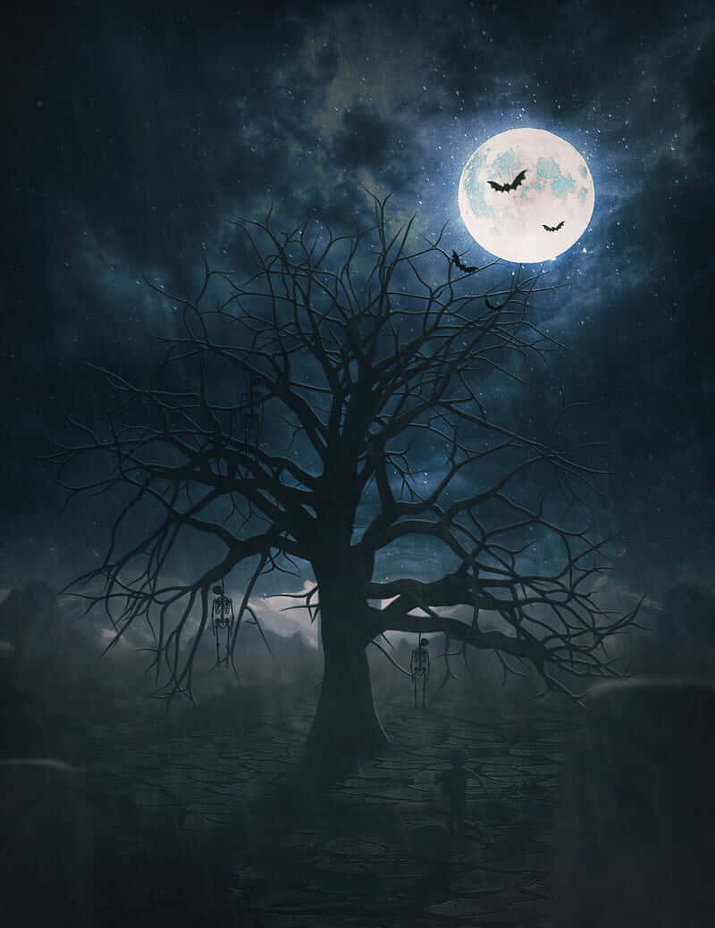 Moon Night 桌布 壁紙 — 一棵陰森的光禿樹木矗立在霧氣瀰漫的墓園中，滿月下蝙蝠飛舞，剪影映襯著星光燦爛的夜空。