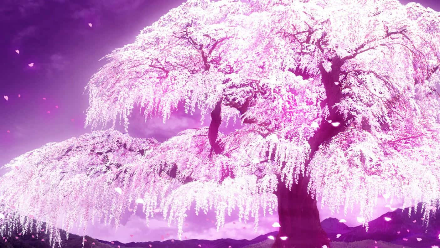 Pink Anime 桌布 壁紙 — 一棵雄偉的垂枝櫻花樹在暮色天空下盛開著燦爛的粉紅色，花瓣飄落。