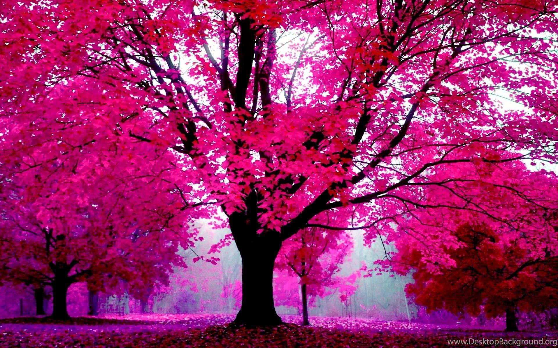 Pink Trees 桌布 壁紙 — 一棵雄偉的樹，帶有充滿活力的粉紅色葉子，矗立在沐浴在夢幻紫色光線中的超現實森林中。