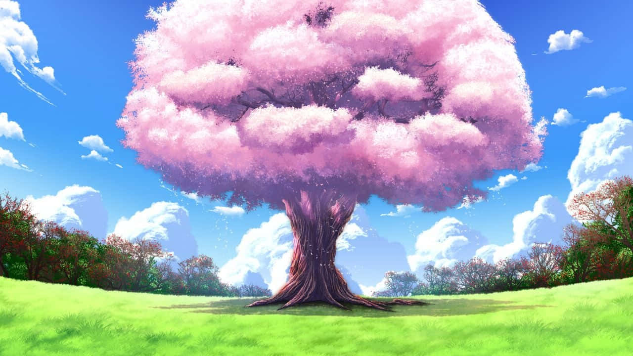 Pink Anime 桌布 壁紙 — 一棵雄偉的櫻花樹，開滿蓬鬆的粉紅色花朵，獨自矗立在充滿活力的綠色田野上，藍天白雲，陽光明媚。