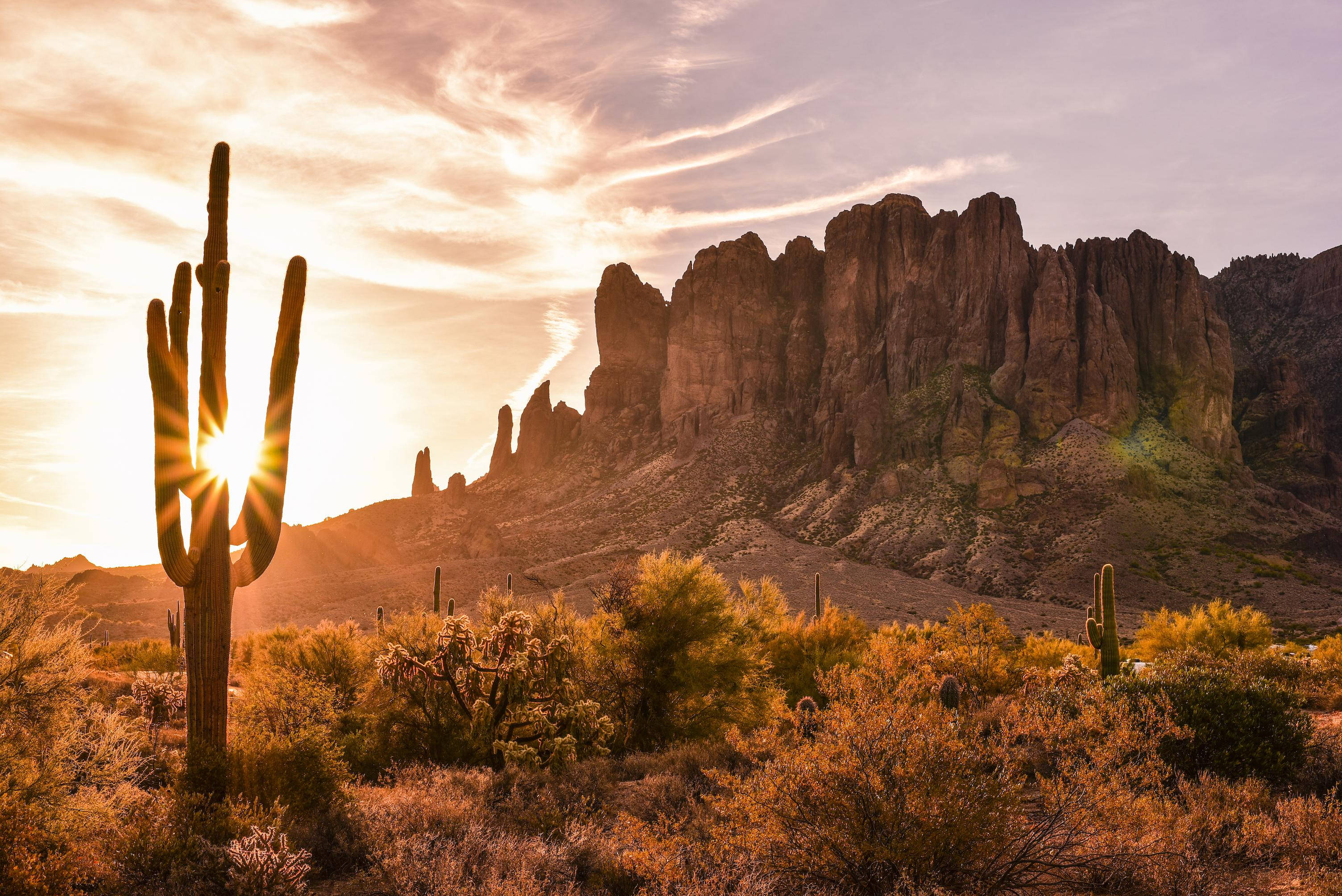 Arizona 桌布 壁紙 — 一棵雄偉的薩瓜羅仙人掌在崎嶇的沙漠岩石形成後面，以金色日落為背景形成剪影。