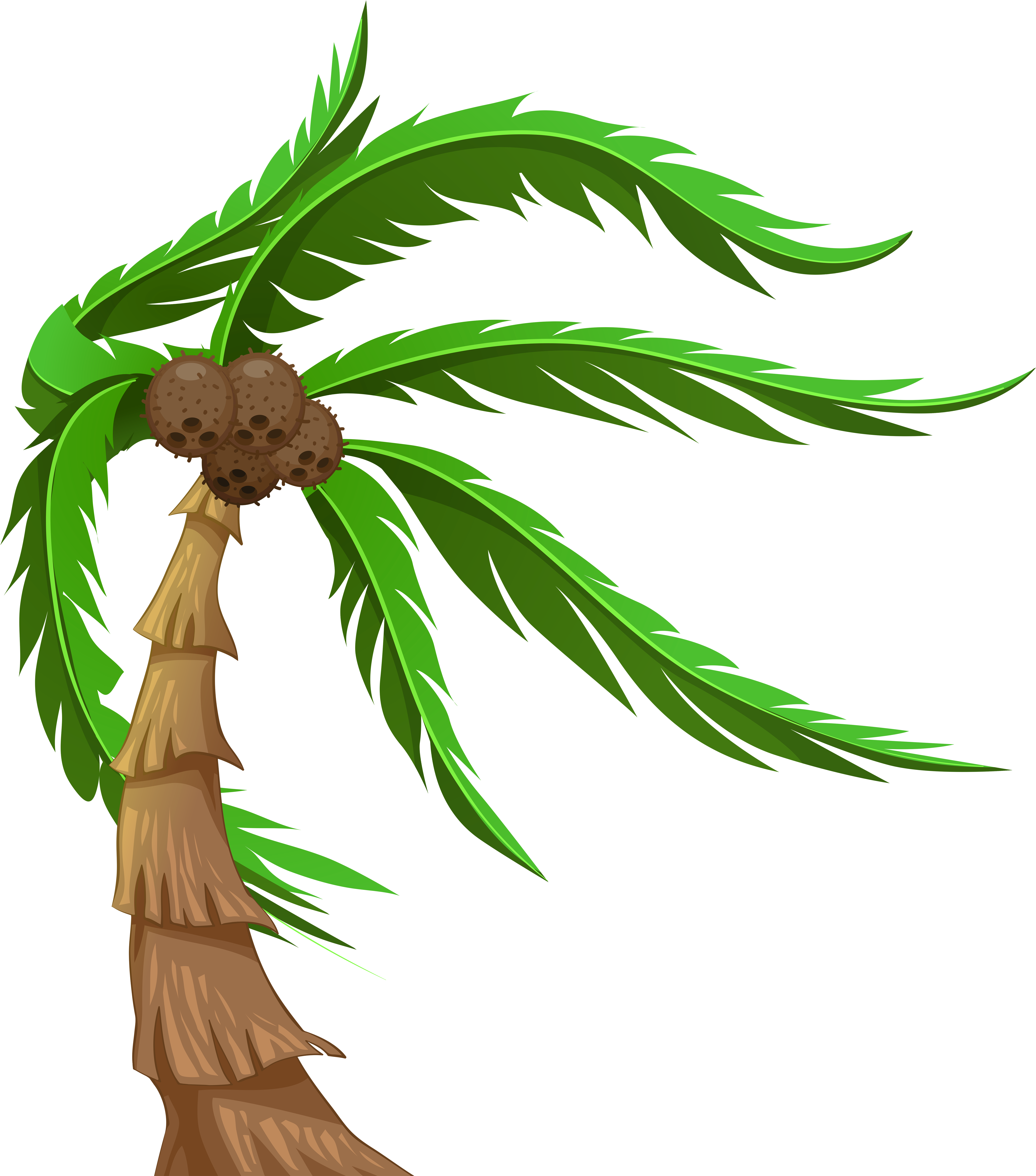 Coconut Tree 桌布 壁紙 — 一棵風格化的卡通棕櫚樹，帶有充滿活力的綠色葉子和棕色椰子，背景為純黑色。