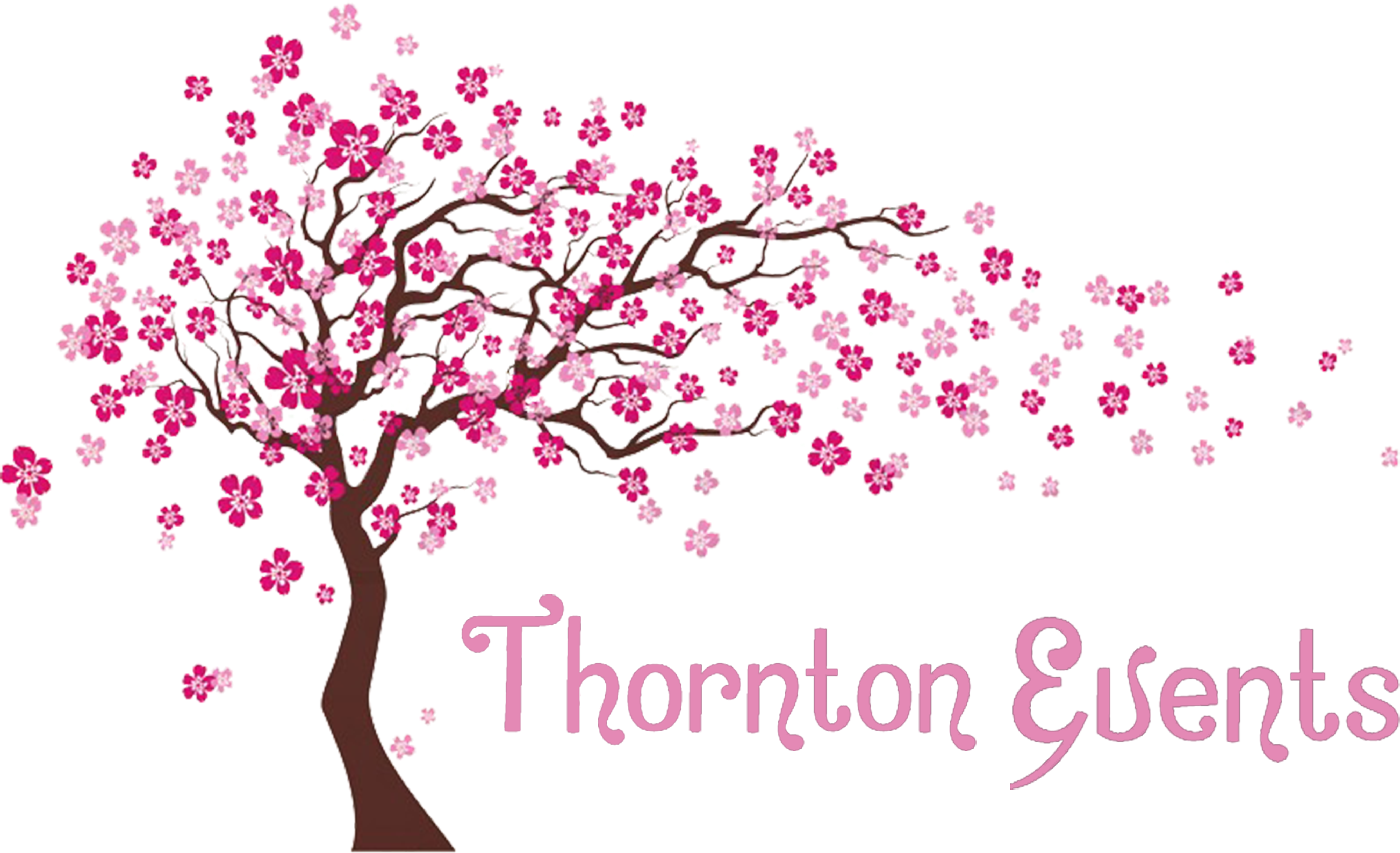 Cherry Blossom Tree 桌布 壁紙 — 一棵風格化的櫻花樹，開著粉紅色的花朵，在黑色背景上綻放，並帶有「Thornton Events」文字。