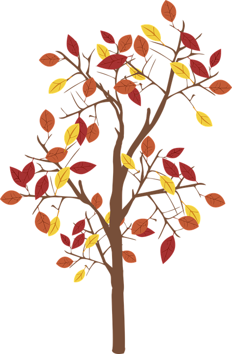 Tree Leaves 桌布 壁紙 — 一棵風格化的秋樹，帶有棕色樹枝和紅色、橙色和黃色色調的葉子，背景為黑色。