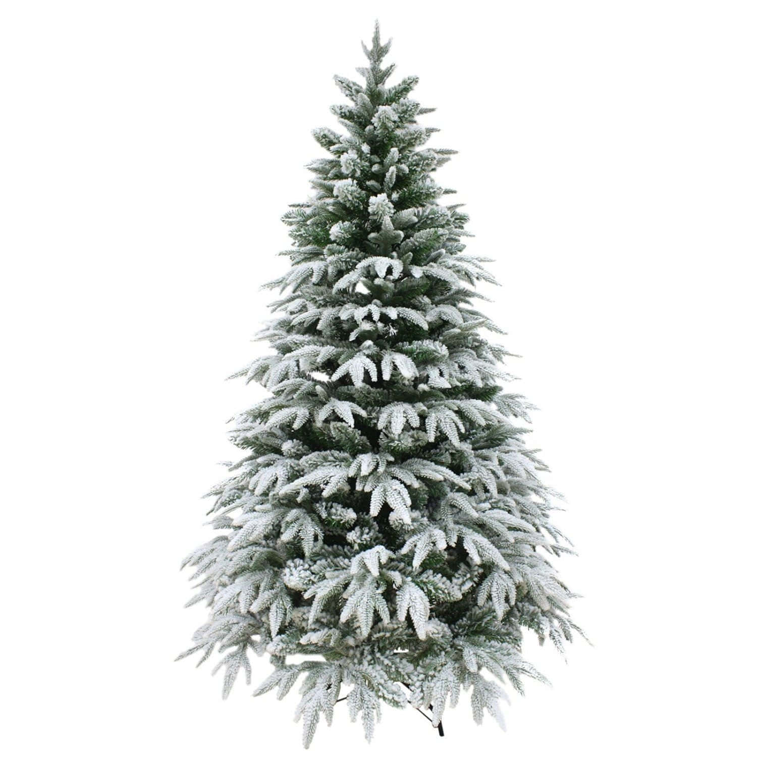 節日 桌布 壁紙 — 一棵高大的常綠樹，上面覆蓋著厚厚的雪，背景是純白色。