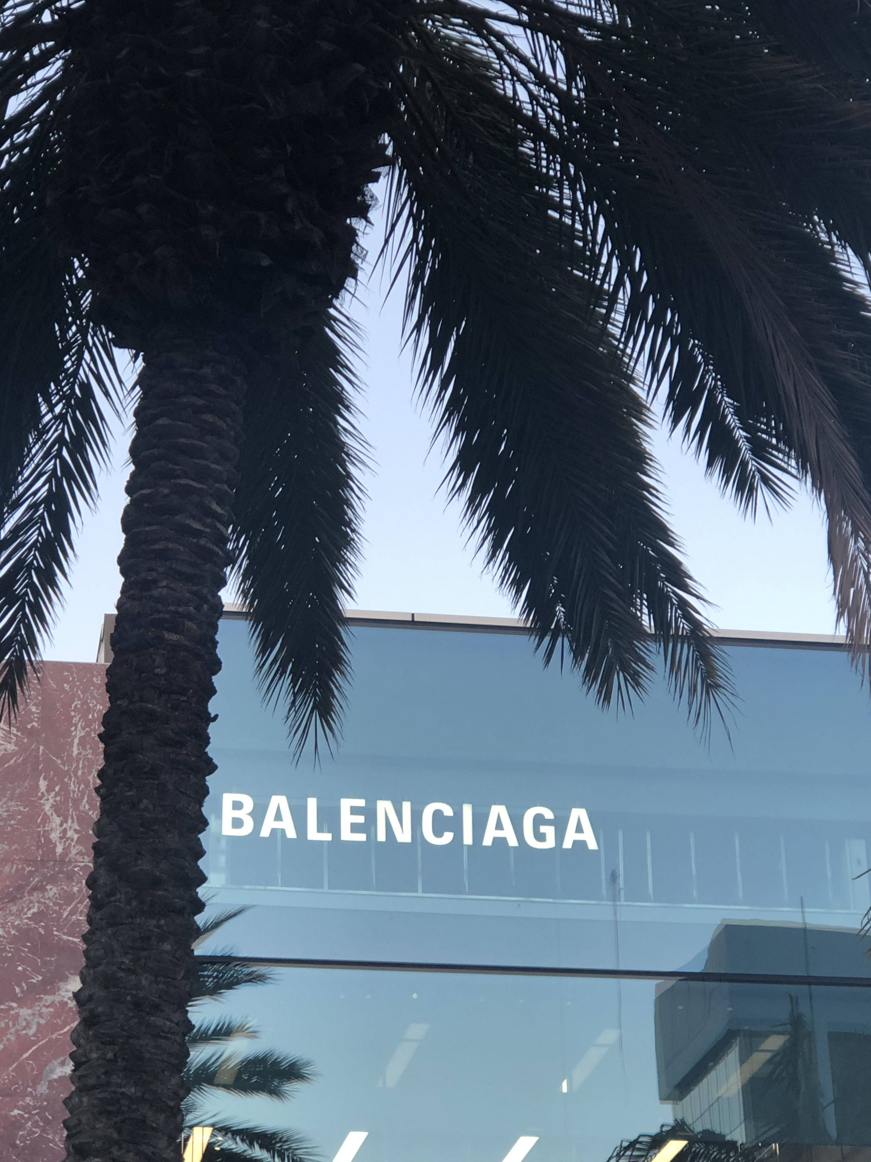 Balenciaga 桌布 壁紙 — 一棵高大的棕櫚樹襯托著一座現代玻璃建築，上面有白色的 Balenciaga 標誌，背景是清澈的藍天。