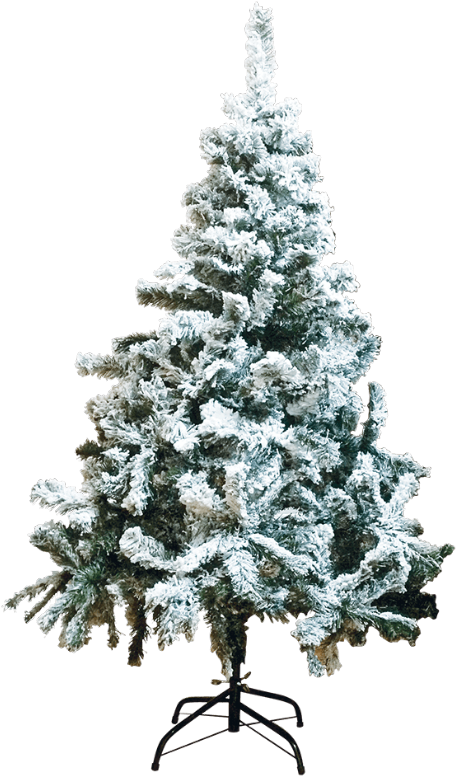 Artificial Christmas Tree 桌布 壁紙 — 一棵高大的植絨聖誕樹，帶有積雪的樹枝，孤立地立在純黑色背景前。