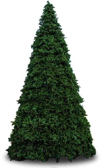 Artificial Christmas Tree 桌布 壁紙 — 一棵高大茂密的常綠樹，深綠色葉片，孤立在純黑色背景上。