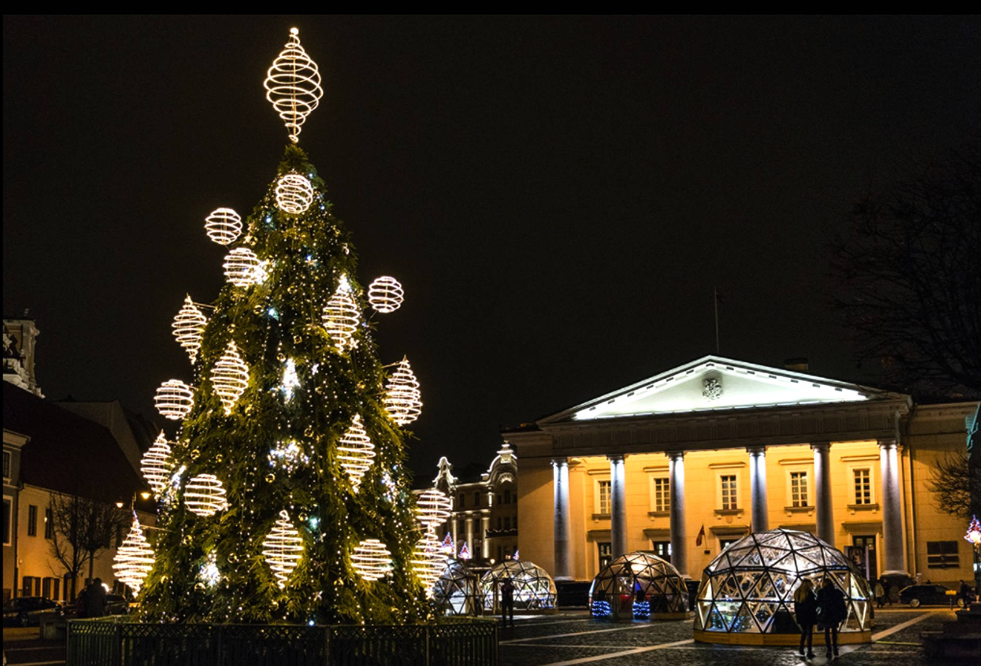 Vilnius 桌布 壁紙 — 一棵高聳的聖誕樹裝飾著發光的球形燈飾，在夜晚的城鎮廣場上傲然矗立，在黑暗的天空下，旁邊是一座宏偉的古典建築。