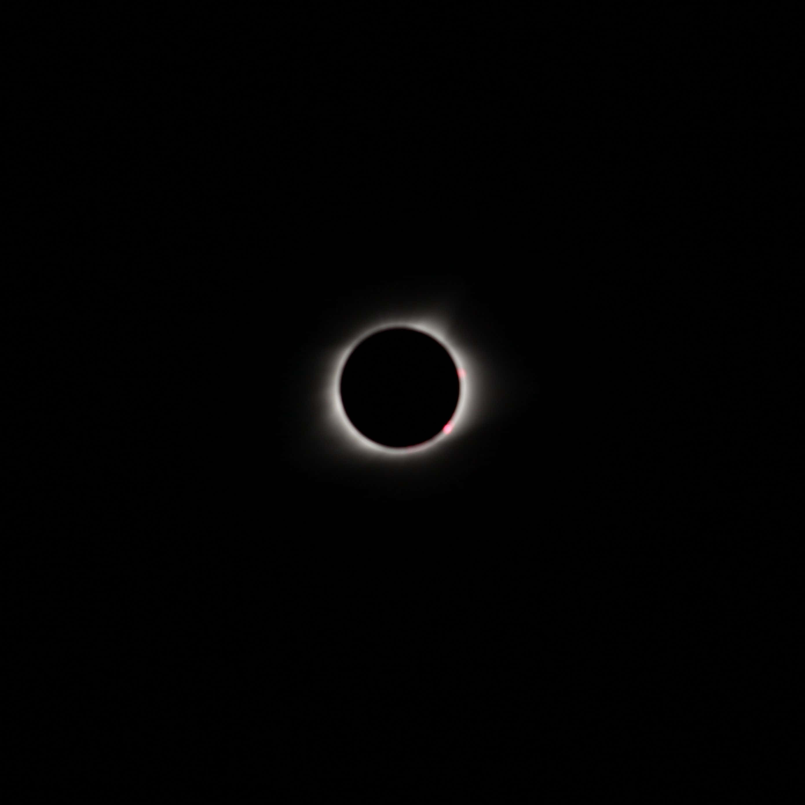 Eclipse 桌布 壁紙 — 一次日全食，帶有發光的白色日冕和太陽邊緣微弱的粉紅色調，背景是黑色天空。