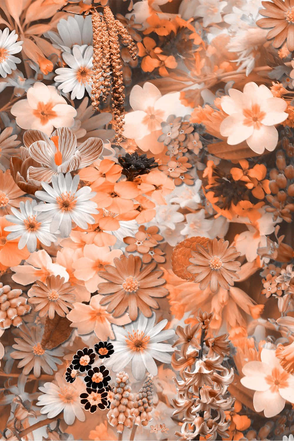 Best Flowers 桌布 壁紙 — 一款以溫暖蜜桃和奶油色調為主的密集花卉壁紙，帶有白色雛菊和紋理葉片。