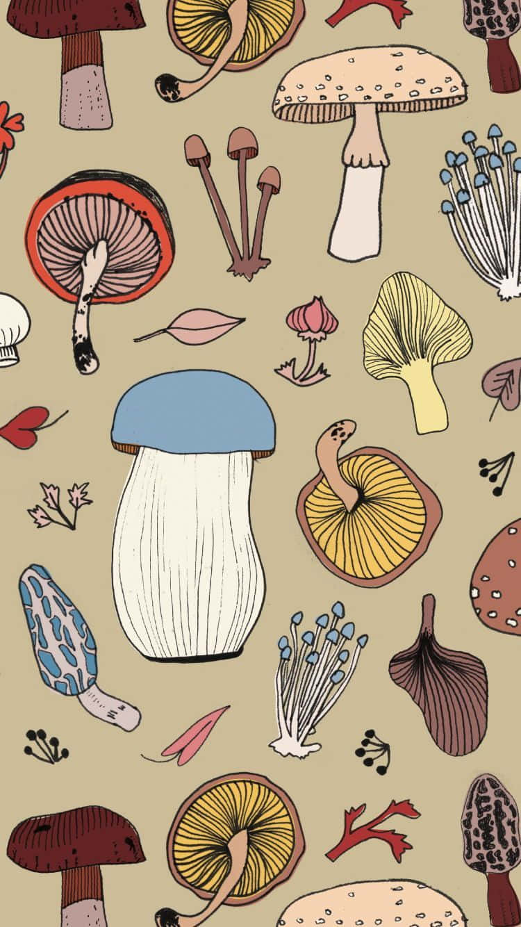 Mushroom Aesthetic 桌布 壁紙 — 一款俏皮插畫風格的壁紙，以米色背景襯托各種柔和粉彩色的蘑菇。