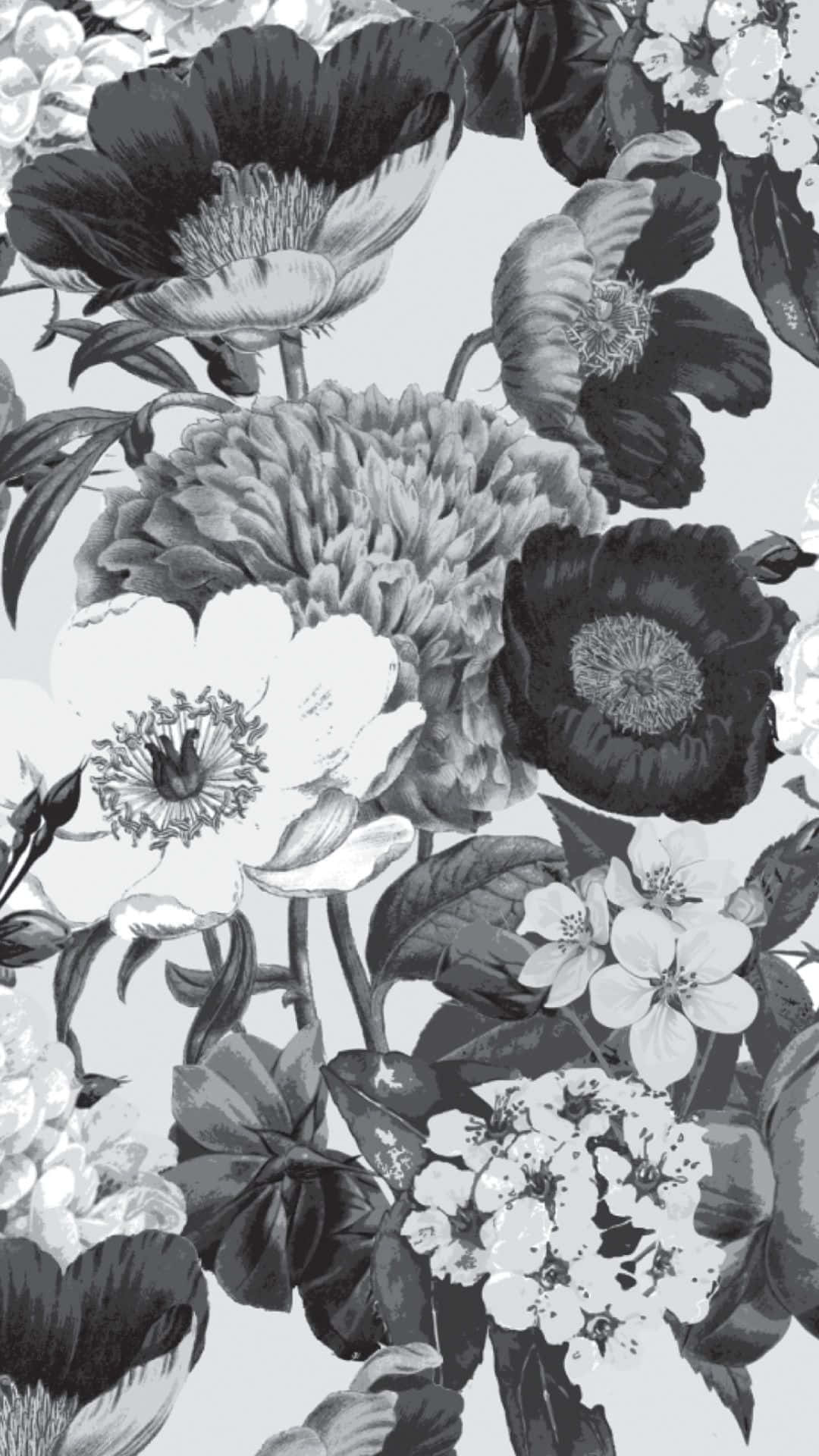 Black And White Flower iPhone 桌布 壁紙 — 一款單色花卉壁紙，在淺灰色背景上呈現精緻的黑白花朵，花瓣和葉子細節豐富。