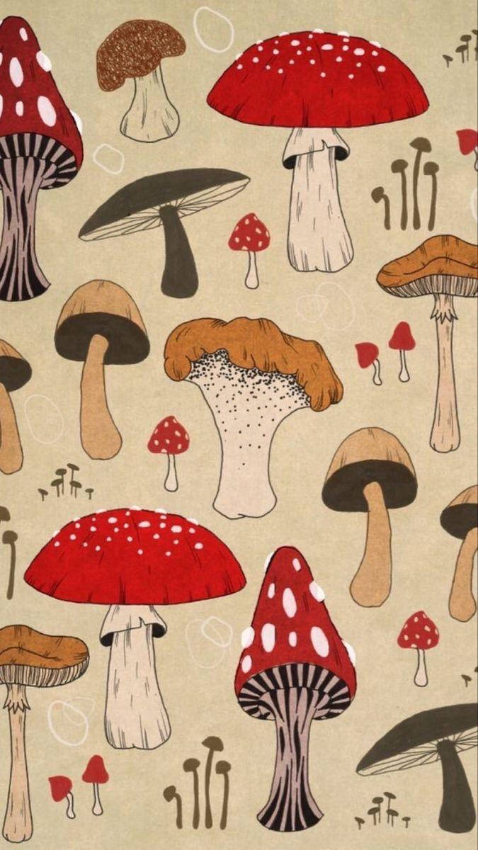 Mushroom Aesthetic 桌布 壁紙 — 一款奇幻的插畫風格壁紙，以紋理米色背景襯托各種紅、棕、米色調的風格化蘑菇。