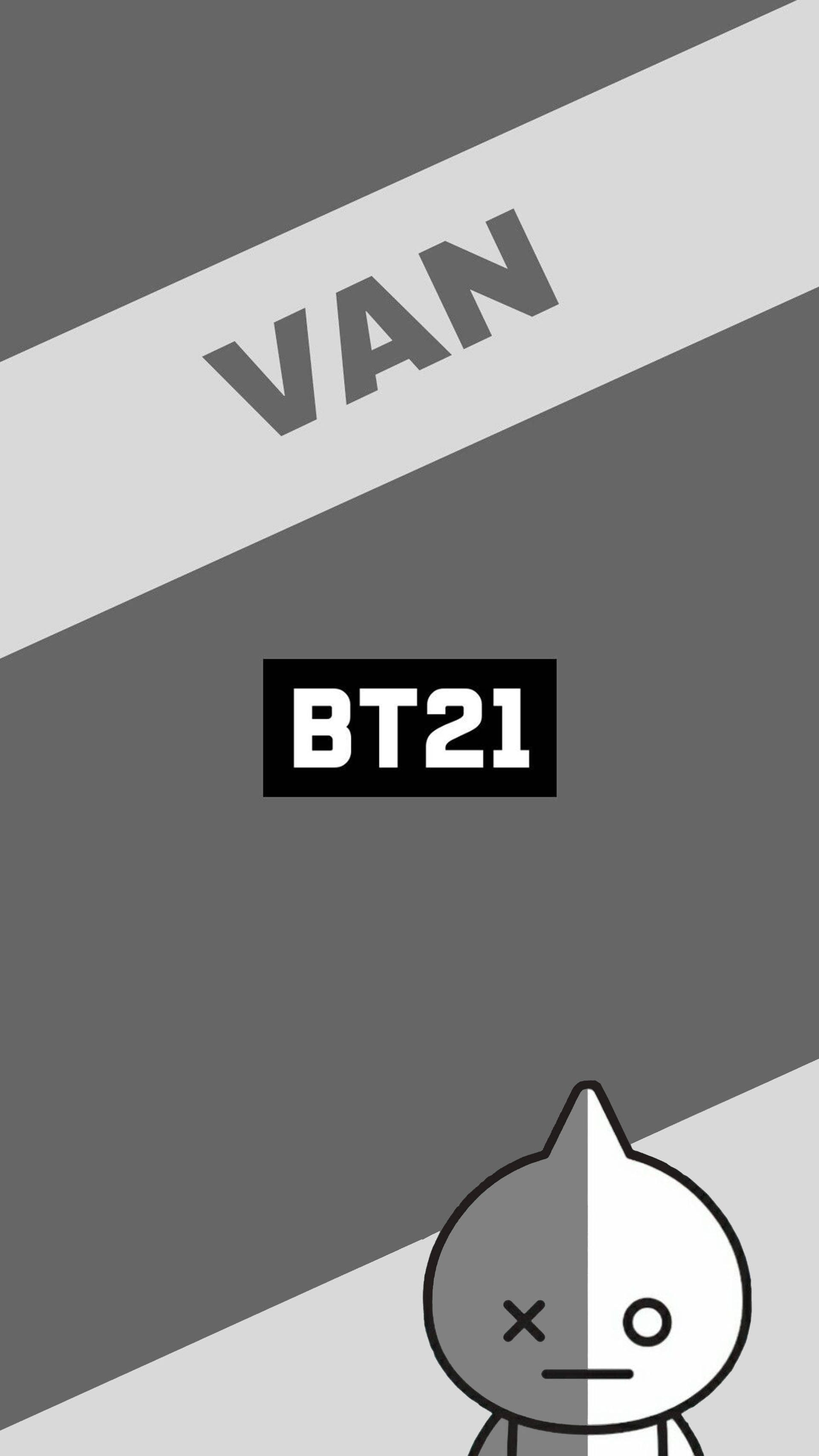 van bt21 桌布 壁紙 — 一款極簡主義單色桌布，特色是帶有「VAN」和「BT21」文字的BT21角色，臉部一分為二，置於灰色斜紋上。