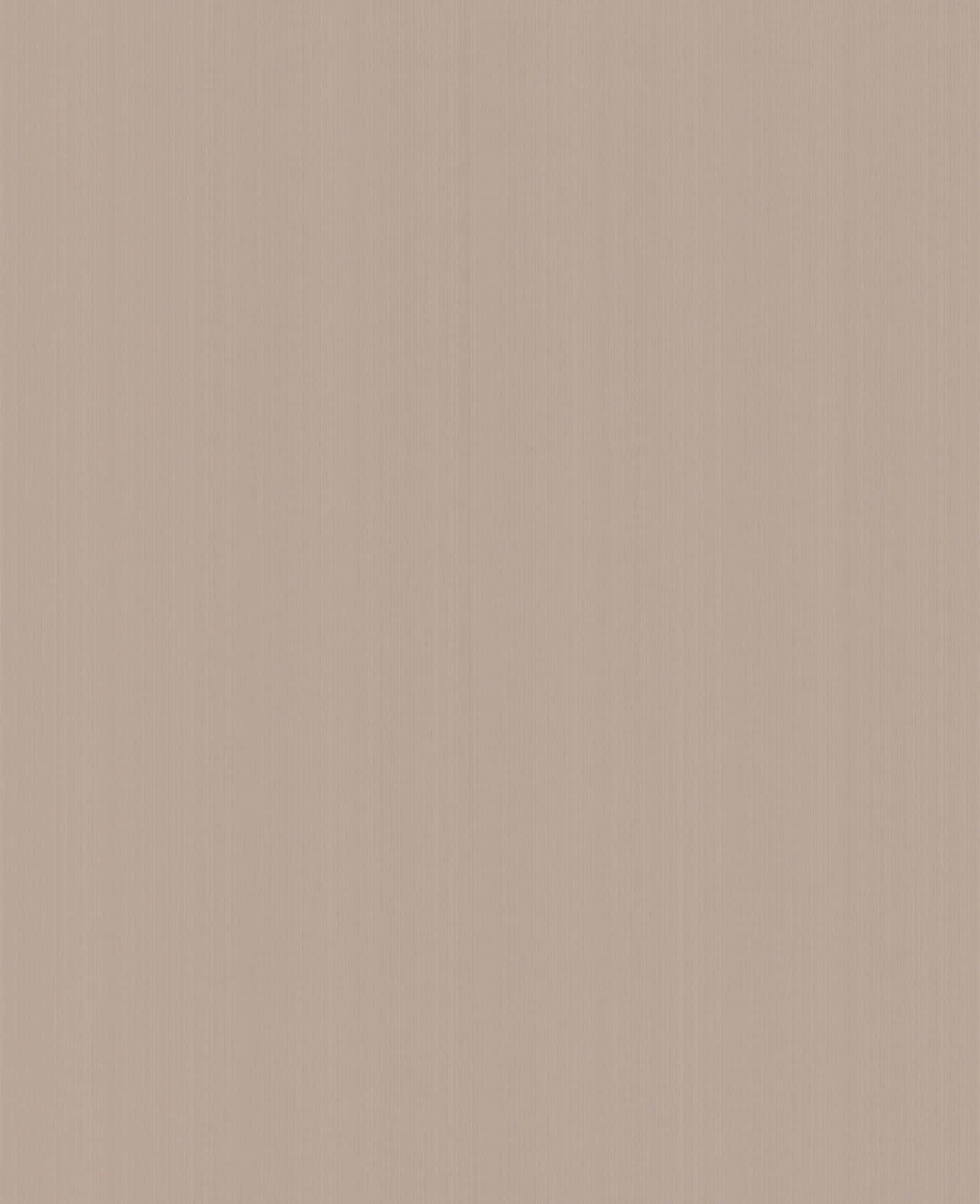 Light Brown 桌布 壁紙 — 一款極簡米色壁紙，帶有微妙的垂直木紋紋理，適合現代室內設計。