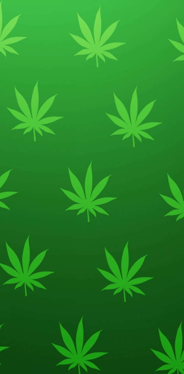葉子 桌布 壁紙 — 一款漸變綠色壁紙，以重複的大麻葉剪影為特色，呈現不同深淺的綠色。