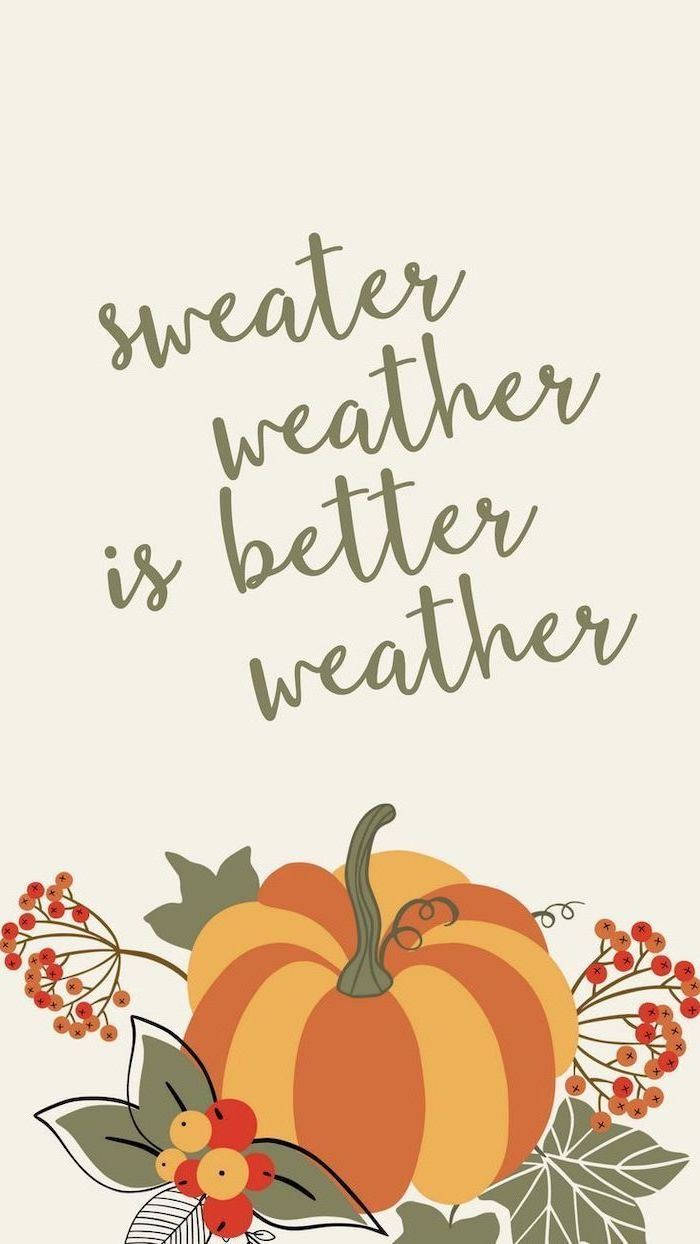 Fall 桌布 壁紙 — 一款舒適的秋季壁紙，在sweater weather is better weather字句下，有條紋南瓜和紅色漿果。