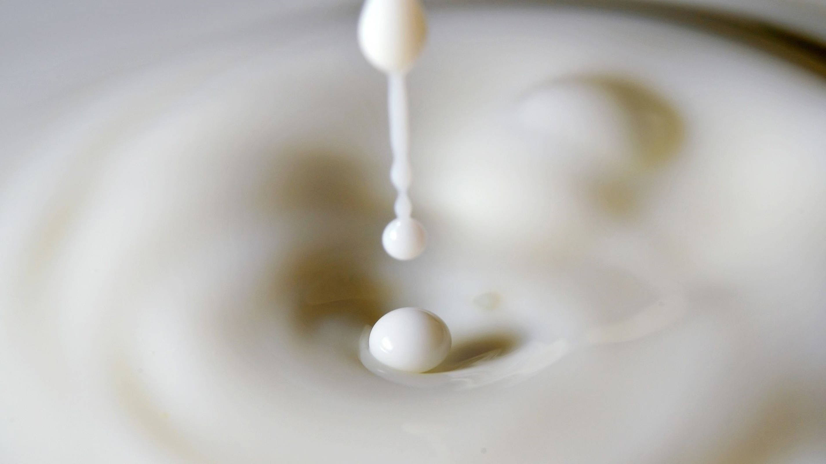 Milk 桌布 壁紙 — 一滴慢動作的牛奶滴入奶油池中，產生漣漪和懸浮的球體。