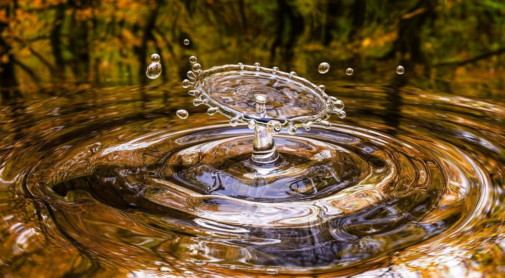 Splash 桌布 壁紙 — 一滴晶瑩剔透的水珠在金色的秋日池塘上完美對稱地向上濺起，漣漪向外擴散。