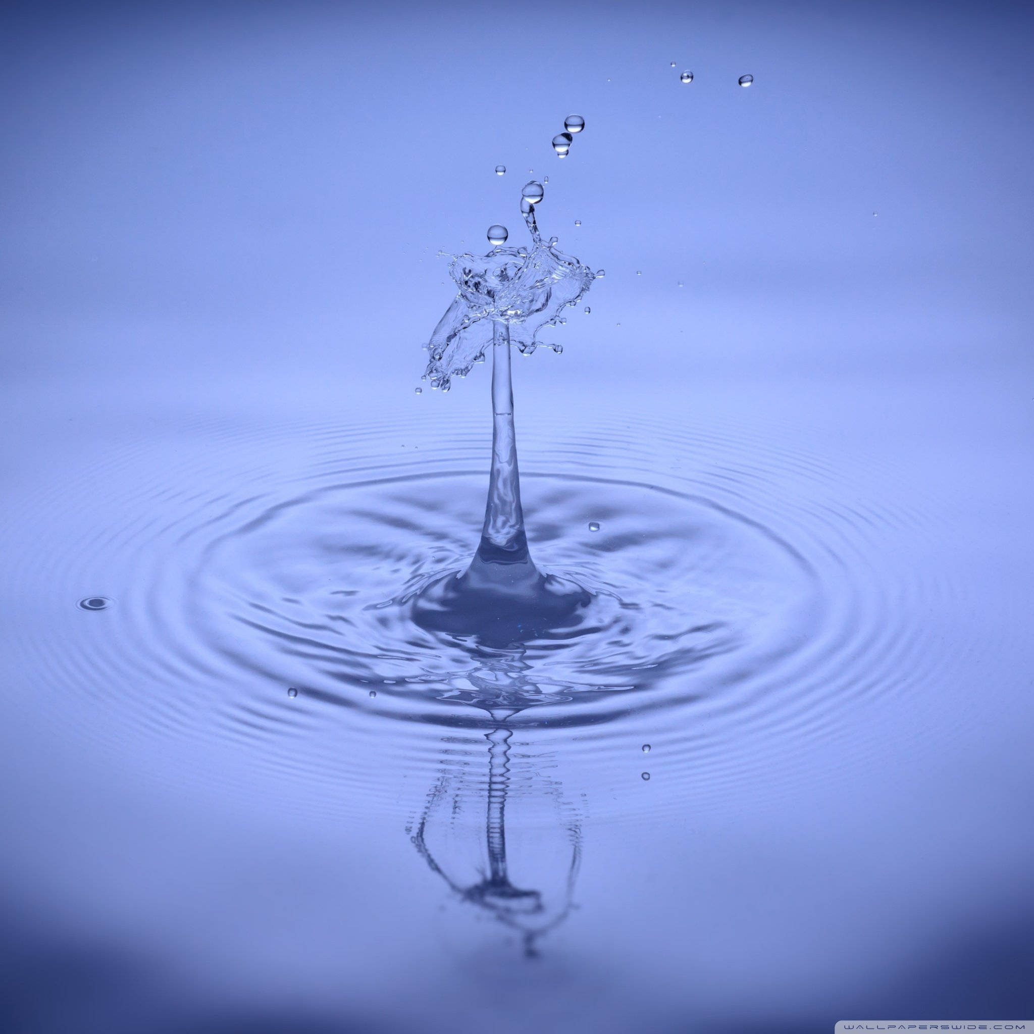 水 桌布 壁紙 — 一滴水在慢動作中向上飛濺，背景是寧靜的藍色漸變，形成完美的同心漣漪。