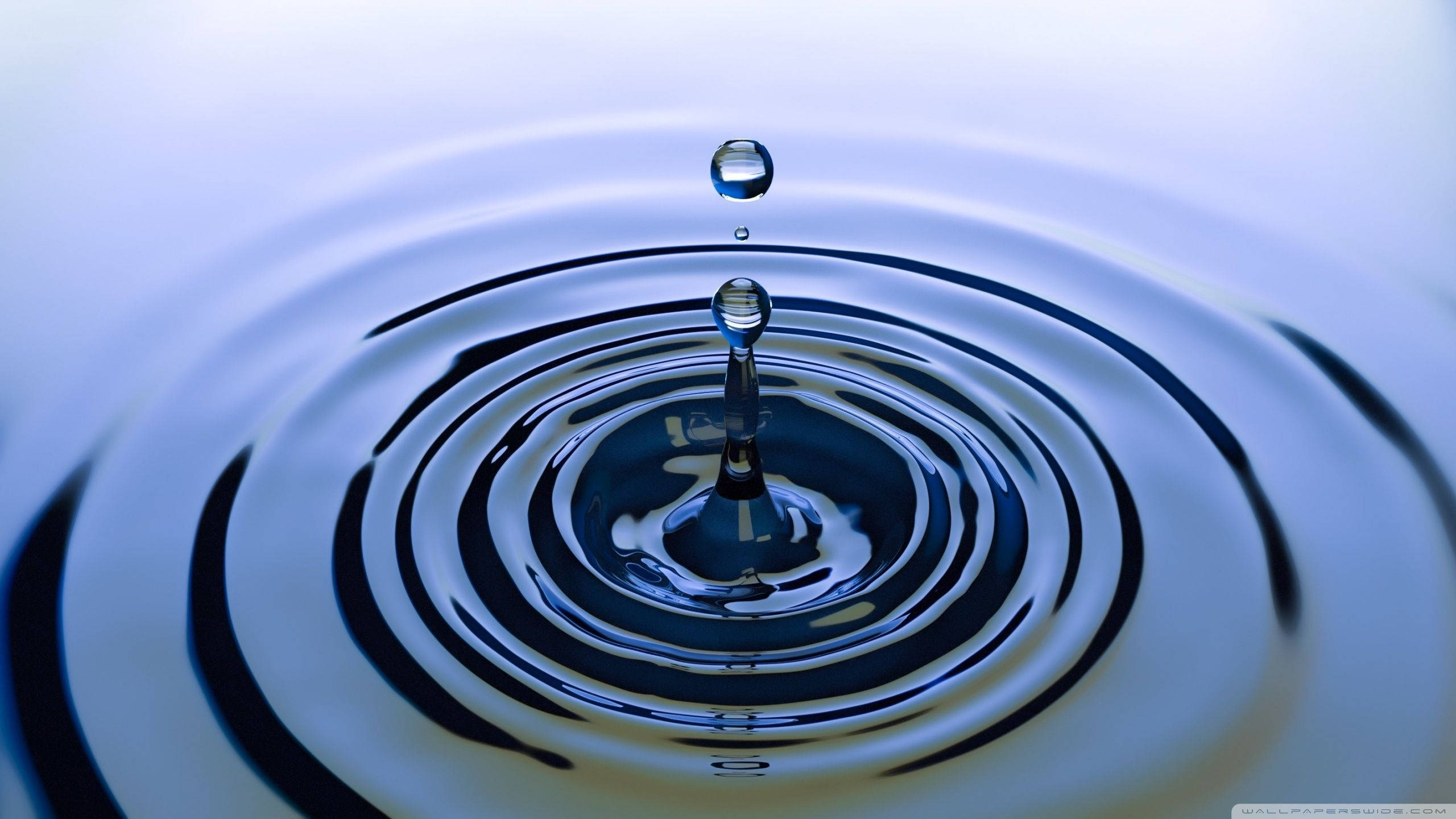 Rippling 桌布 壁紙 — 一滴水懸浮在水面上，在冷藍色調中形成完美的同心漣漪。
