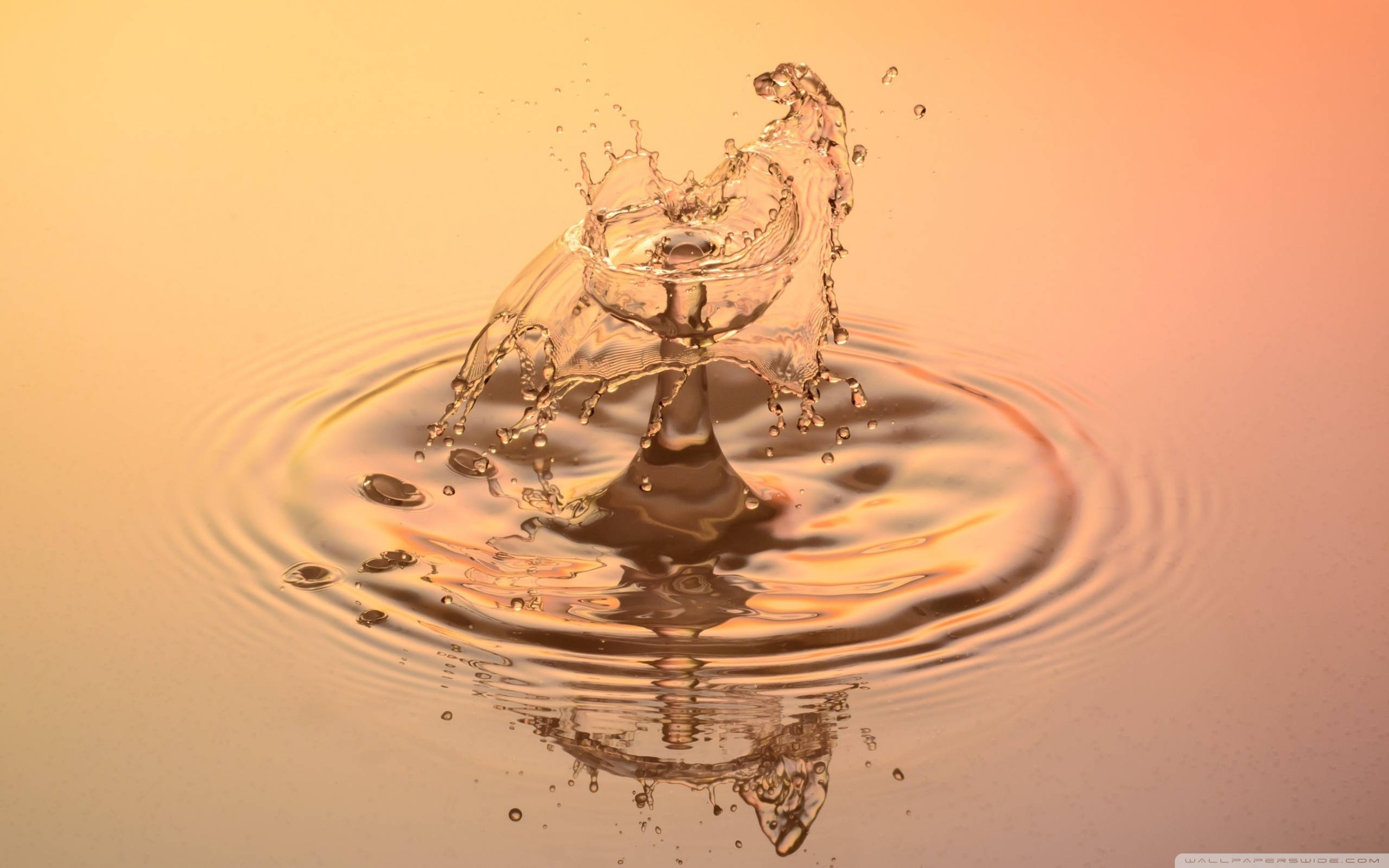 水 桌布 壁紙 — 一滴水珠以慢動作向上飛濺，在溫暖的金色表面上形成複雜的皇冠狀漣漪。