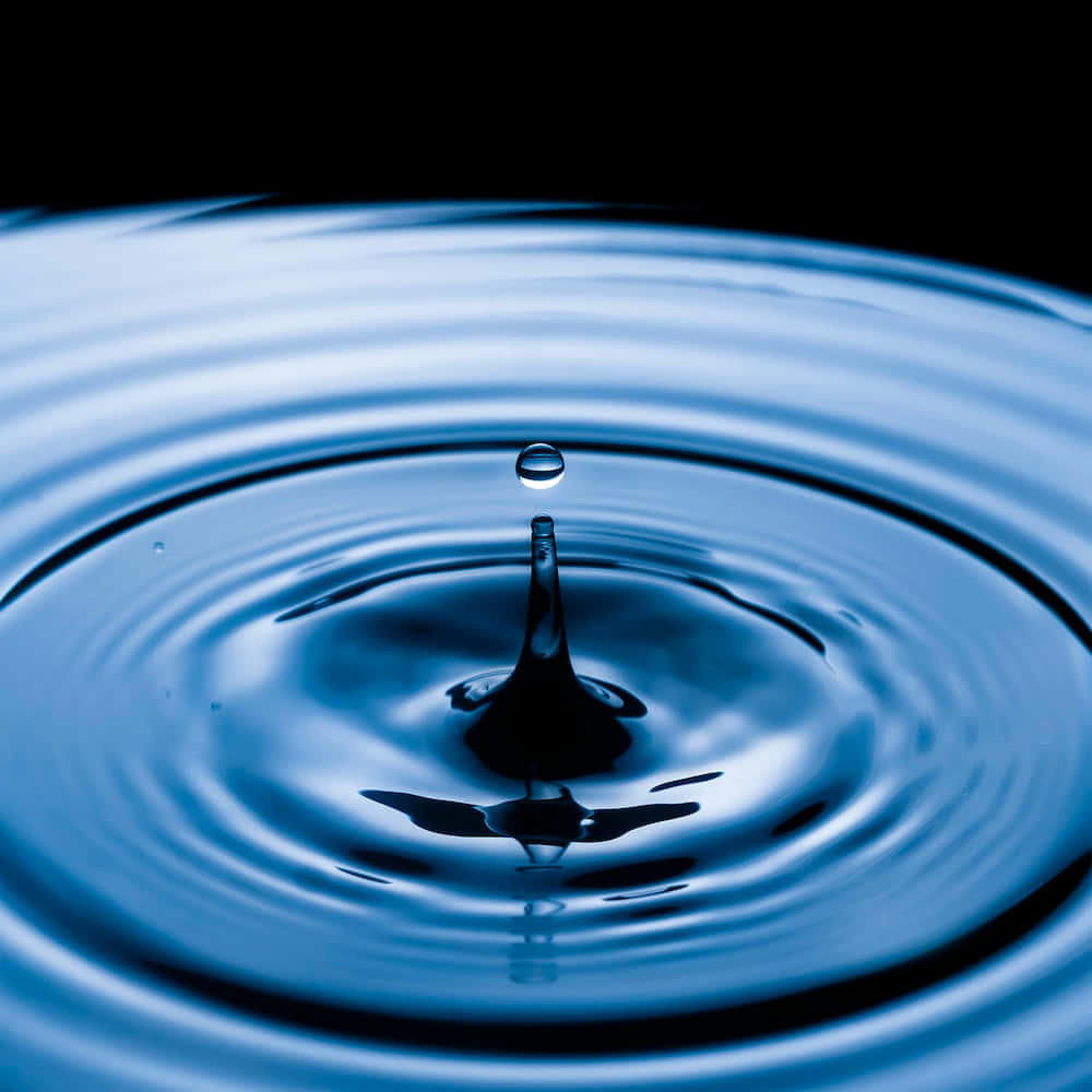Water Drop 桌布 壁紙 — 一滴水珠懸浮在水面上方，在黑色背景下形成完美的冷藍色同心漣漪。