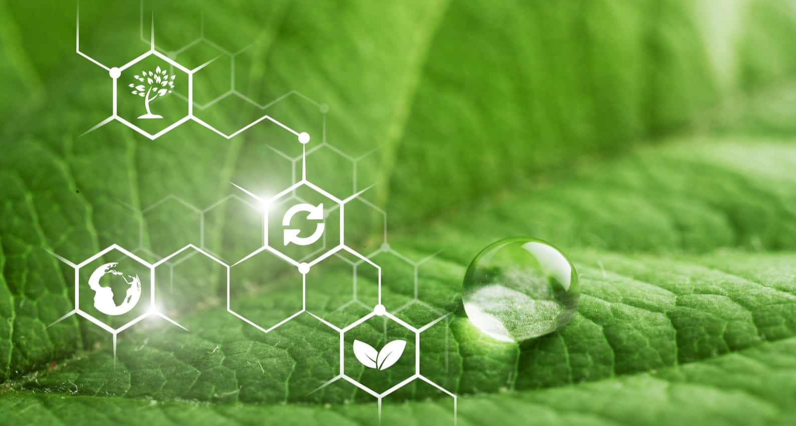 Green Chemistry 桌布 壁紙 — 一滴露珠停留在充滿活力的綠葉上，而帶有環保圖標的發光六邊形漂浮在其上方。