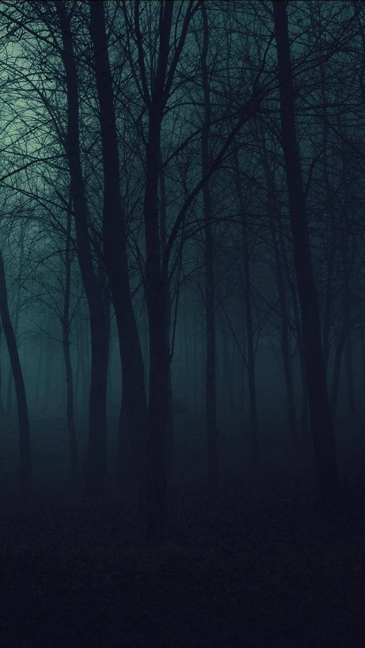 Dark Phone 桌布 壁紙 — 一片令人毛骨悚然的森林，光禿禿的樹木籠罩在濃霧中，天空呈暗青色。