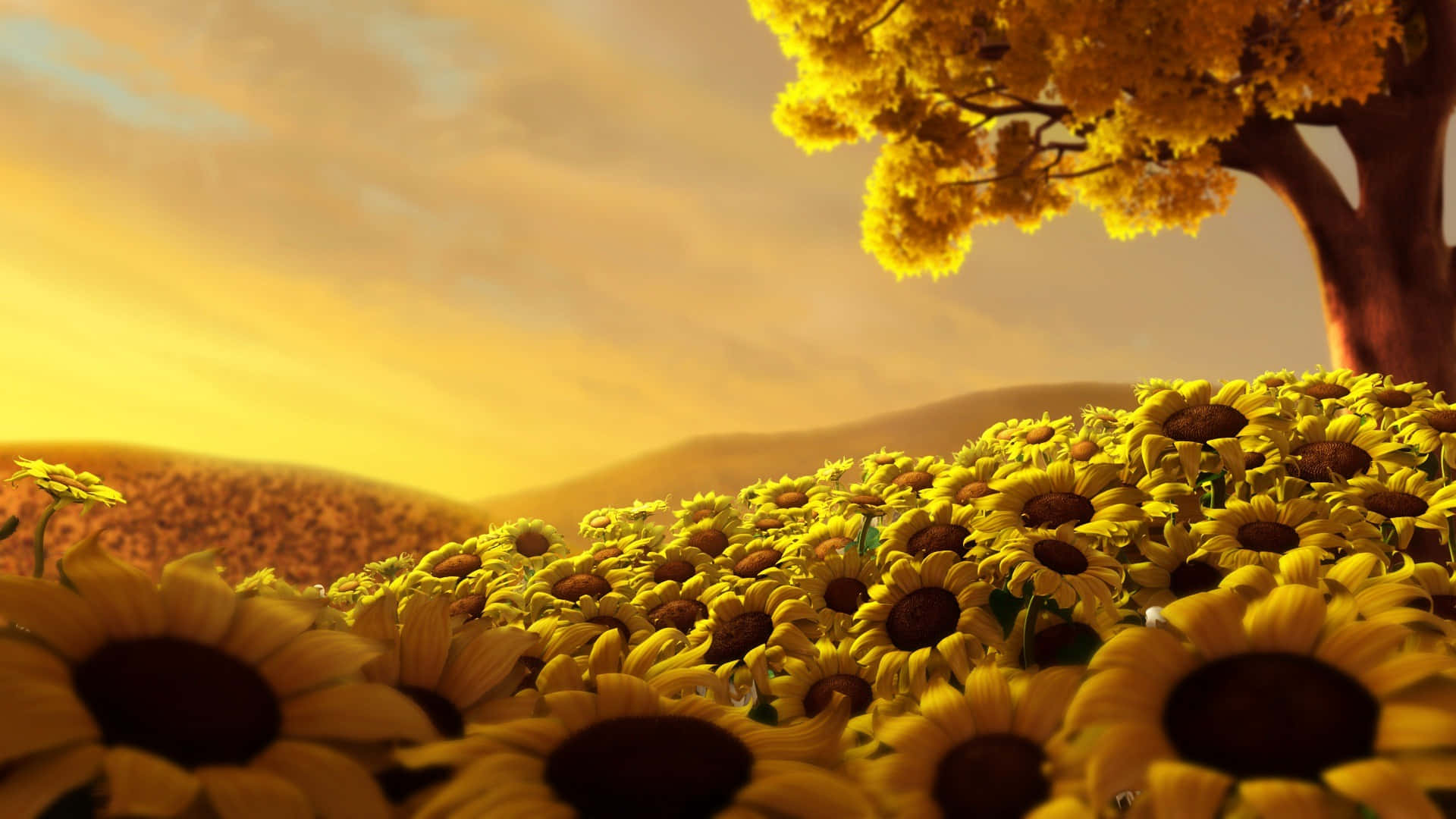 1920 X 1080 Flower 桌布 壁紙 — 一片充滿活力的向日葵田向著金色日落延伸，一棵樹在溫暖的天空中形成剪影。