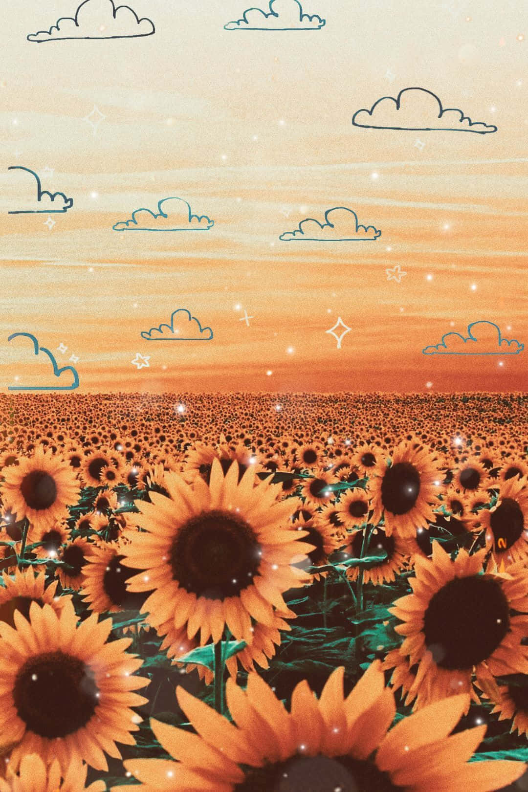 Cute Flower 桌布 壁紙 — 一片充滿活力的向日葵田在溫暖的橙色天空下延伸，天空點綴著簡單的輪廓雲朵和閃爍的星星。