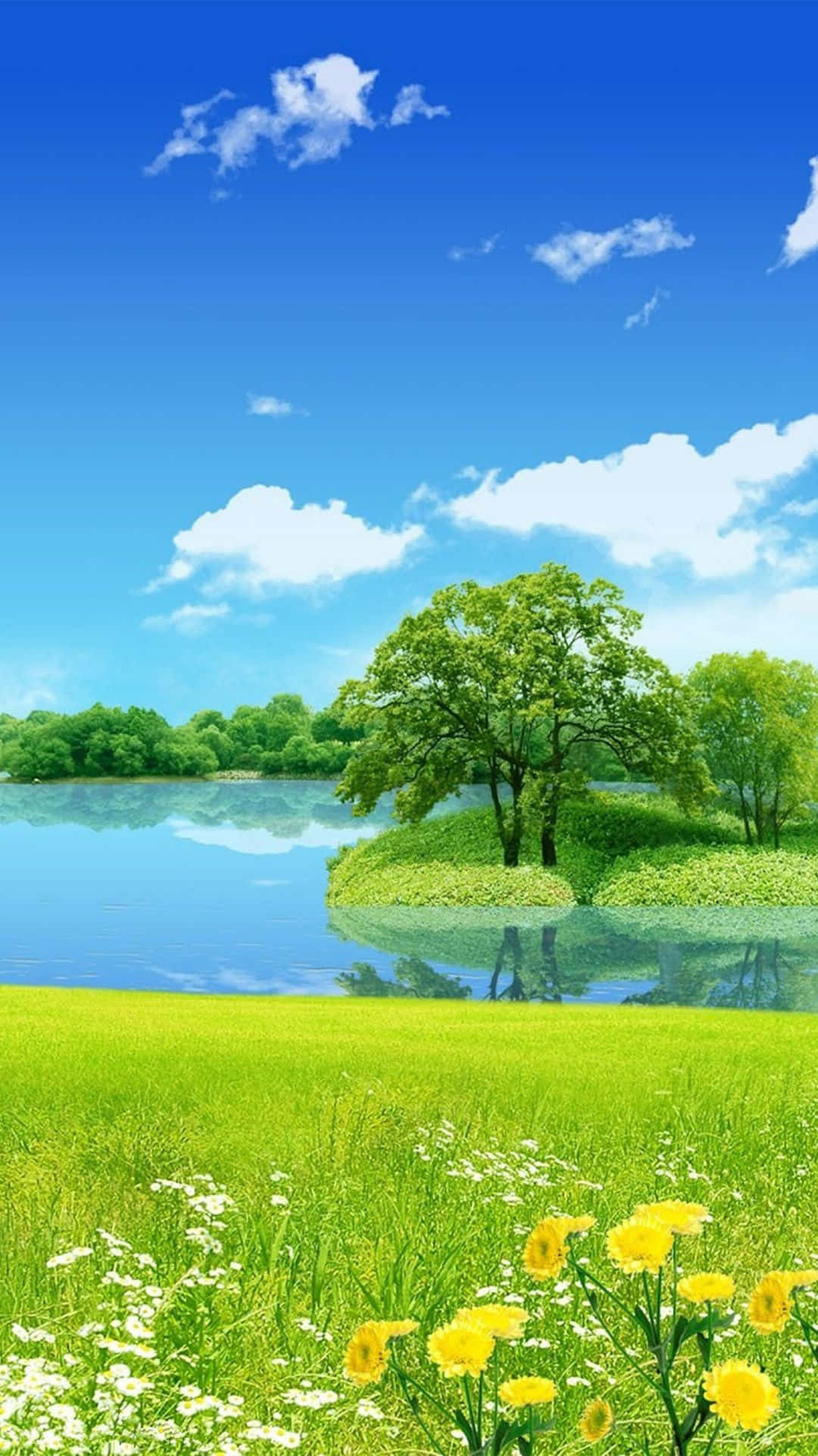 自然風景動圖 桌布 壁紙 — 一片充滿活力的夏日草地，黃色雛菊和白色花朵在平靜的湖邊盛開，天空湛藍，白雲朵朵。