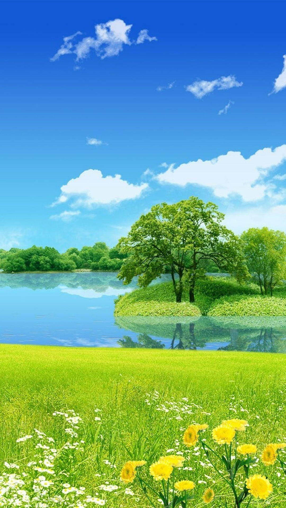 樹木 桌布 壁紙 — 一片充滿活力的夏日草地，黃色雛菊和白色花朵盛開，在平靜的湖面前，湖面映照著綠色島嶼上的一棵孤樹，背景是明亮的藍天和蓬鬆的白雲。