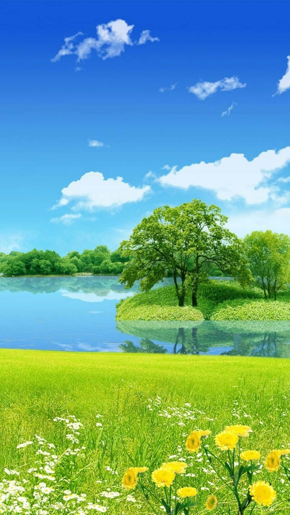 在藍天白雲下，平靜的湖泊旁，一片茂盛的綠色草地上開滿了黃色和白色的花朵。 — 美麗風景動圖 壁紙