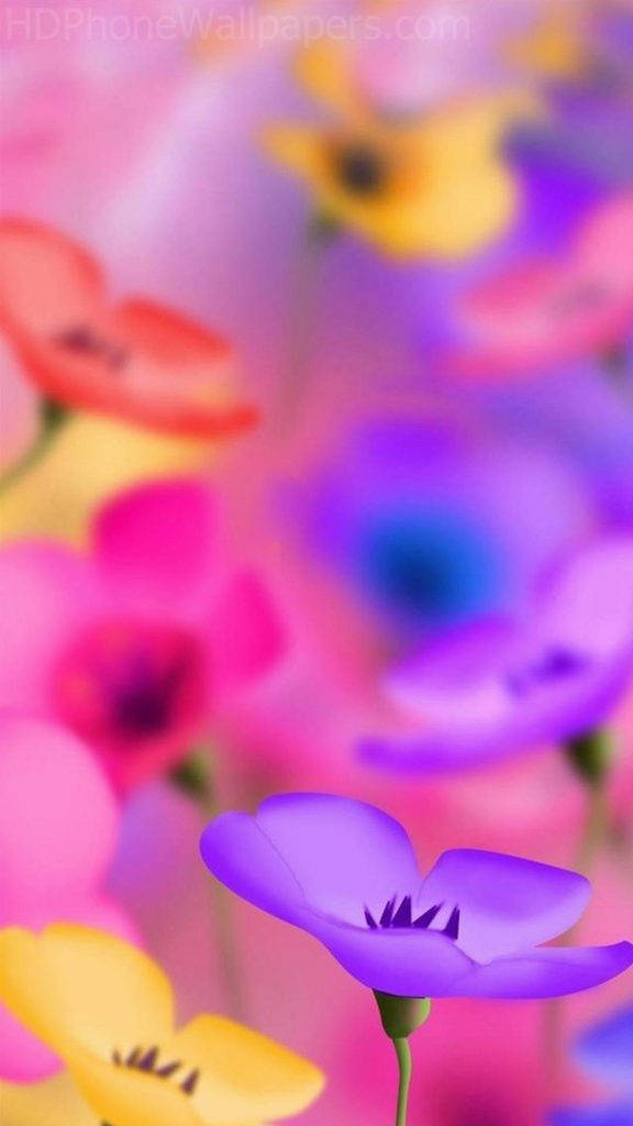 鮮豔的彩色花朵，其中一朵紫色花朵在柔和的模糊背景中清晰對焦。