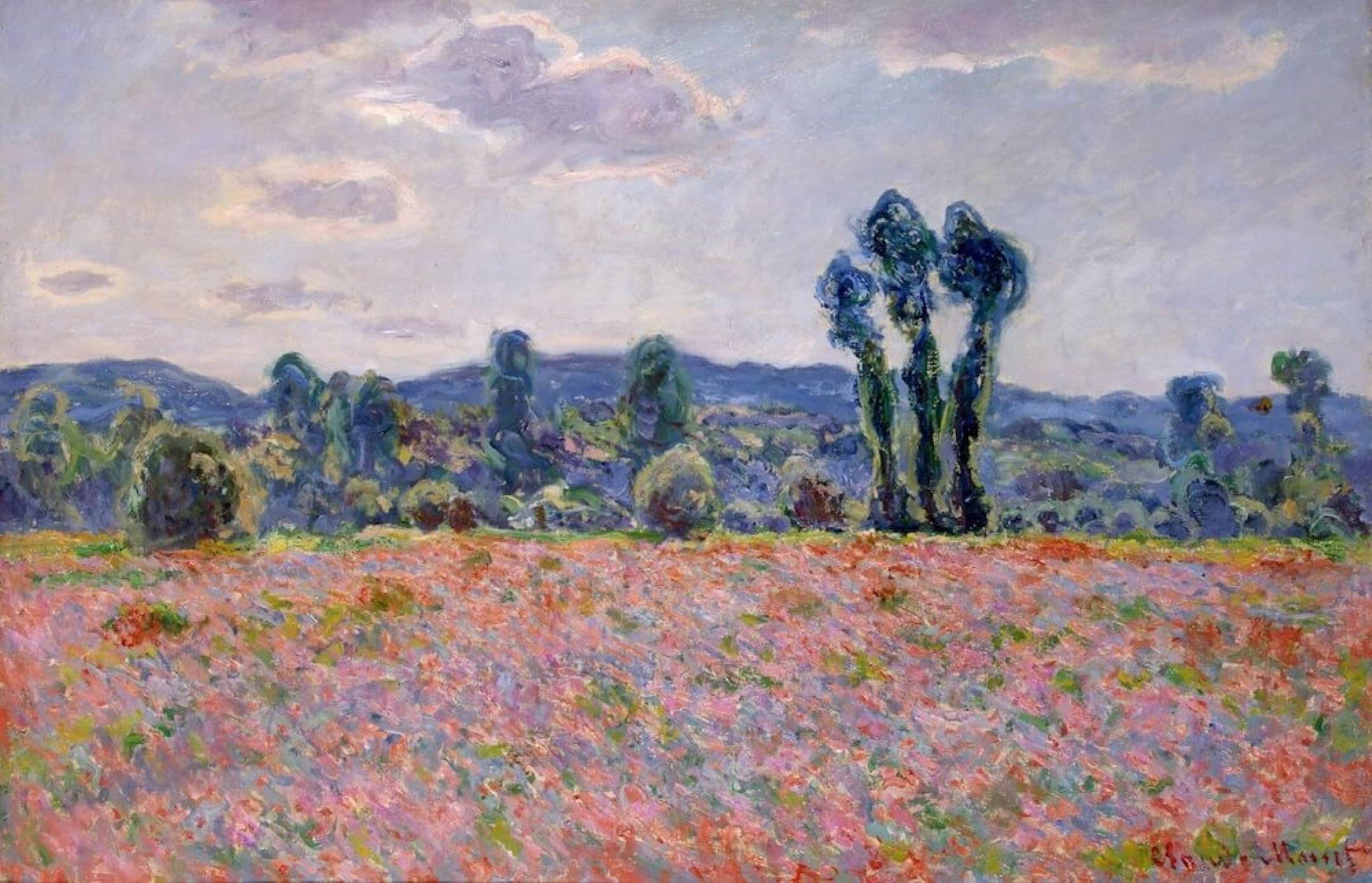 Monet 桌布 壁紙 — 一片充滿活力的粉紅色和紅色花田，在柔和的多雲天空下延伸至遠方的藍色山丘。
