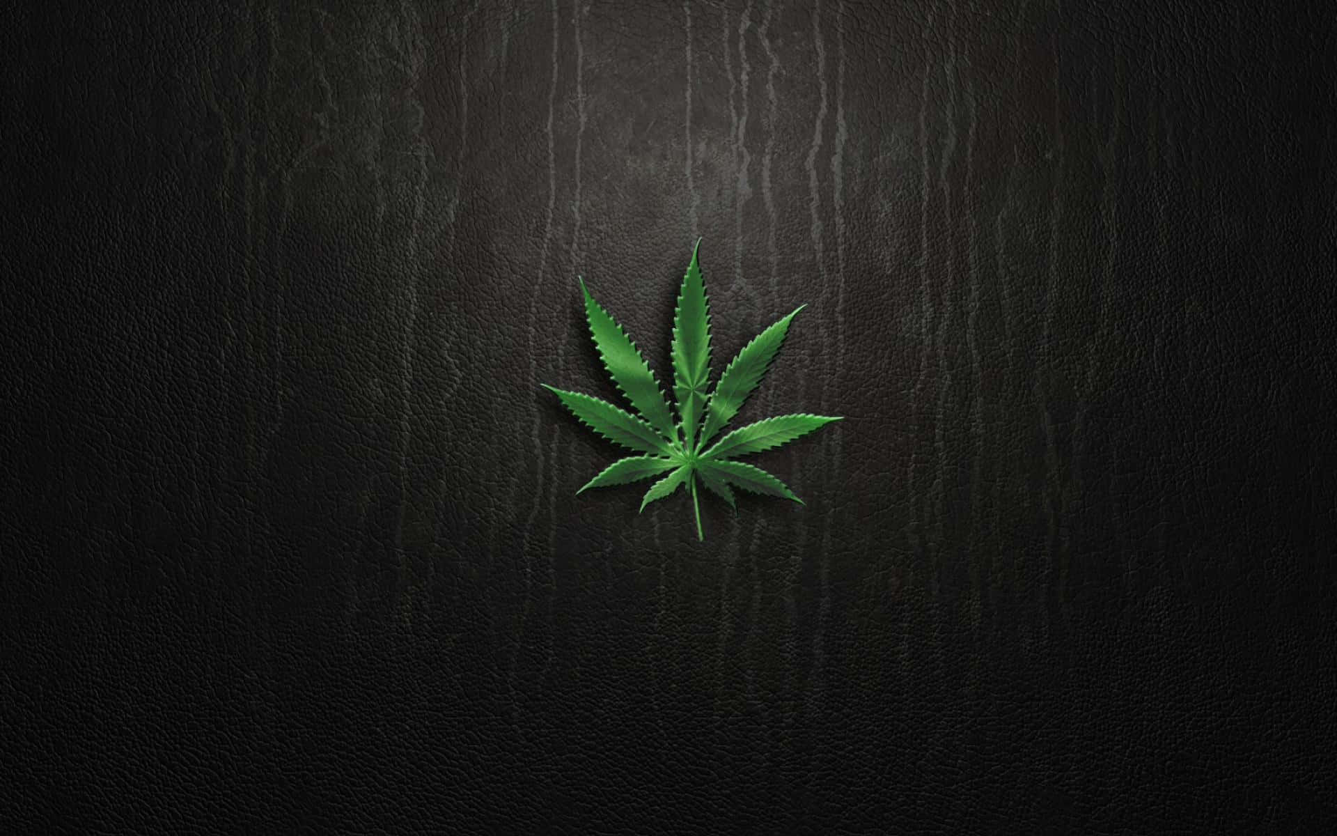 Weed Leaf 桌布 壁紙 — 一片充滿活力的綠色大麻葉，在聚焦燈光下，居中放置於深色紋理皮革表面上。