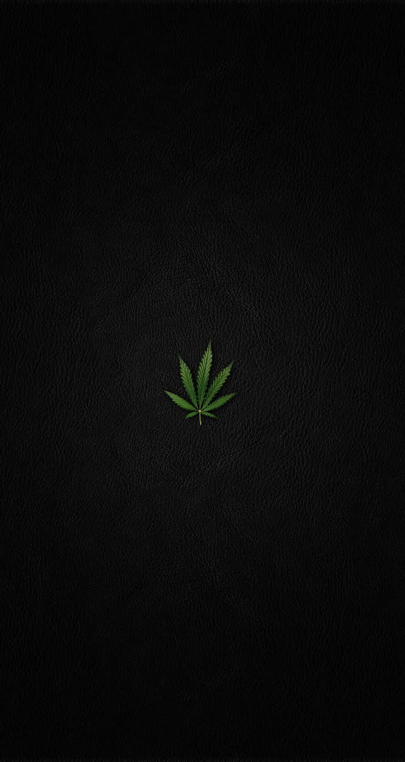 葉子 桌布 壁紙 — 一片充滿活力的綠色大麻葉，居中在帶有紋理的黑色皮革背景上。