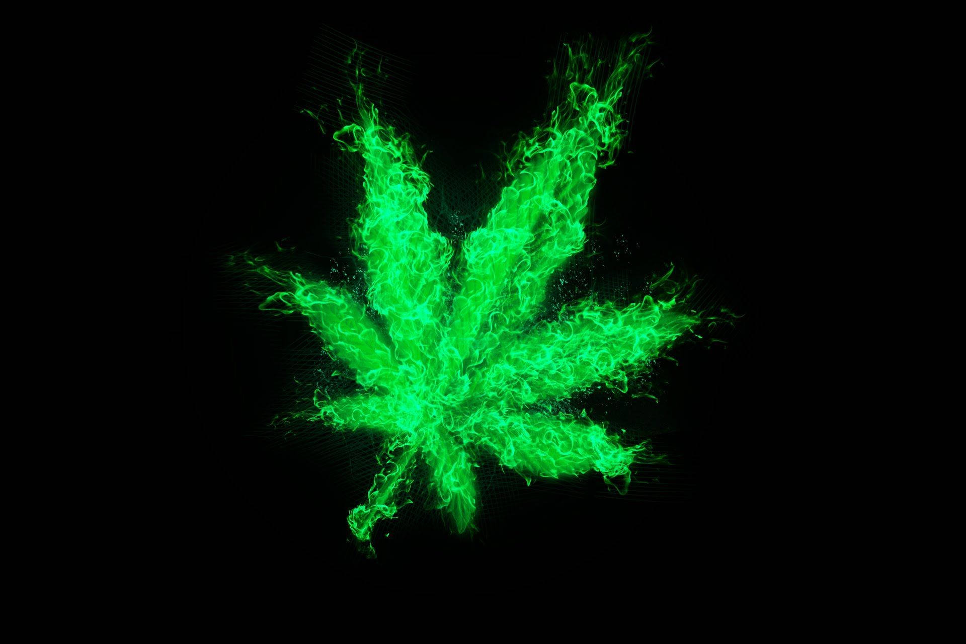 Weed Leaf 桌布 壁紙 — 一片充滿活力的綠色大麻葉，形狀像熾熱的等離子體，襯托在純黑色背景上。