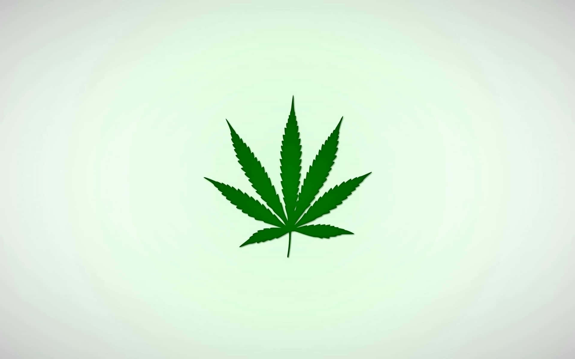  壁紙 — 一片充滿活力的綠色大麻葉，置中在柔和的漸層背景上。