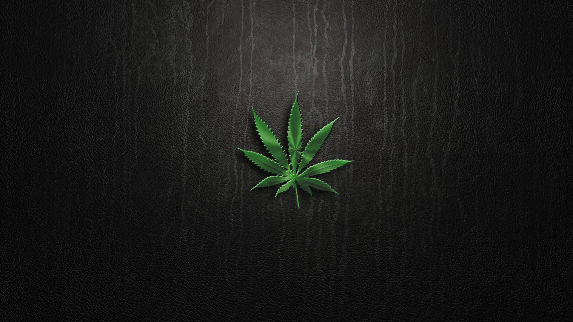 木紋 桌布 壁紙 — 一片充滿活力的綠色大麻葉在柔和光線下，居中放置在帶有紋理的黑色皮革表面上。