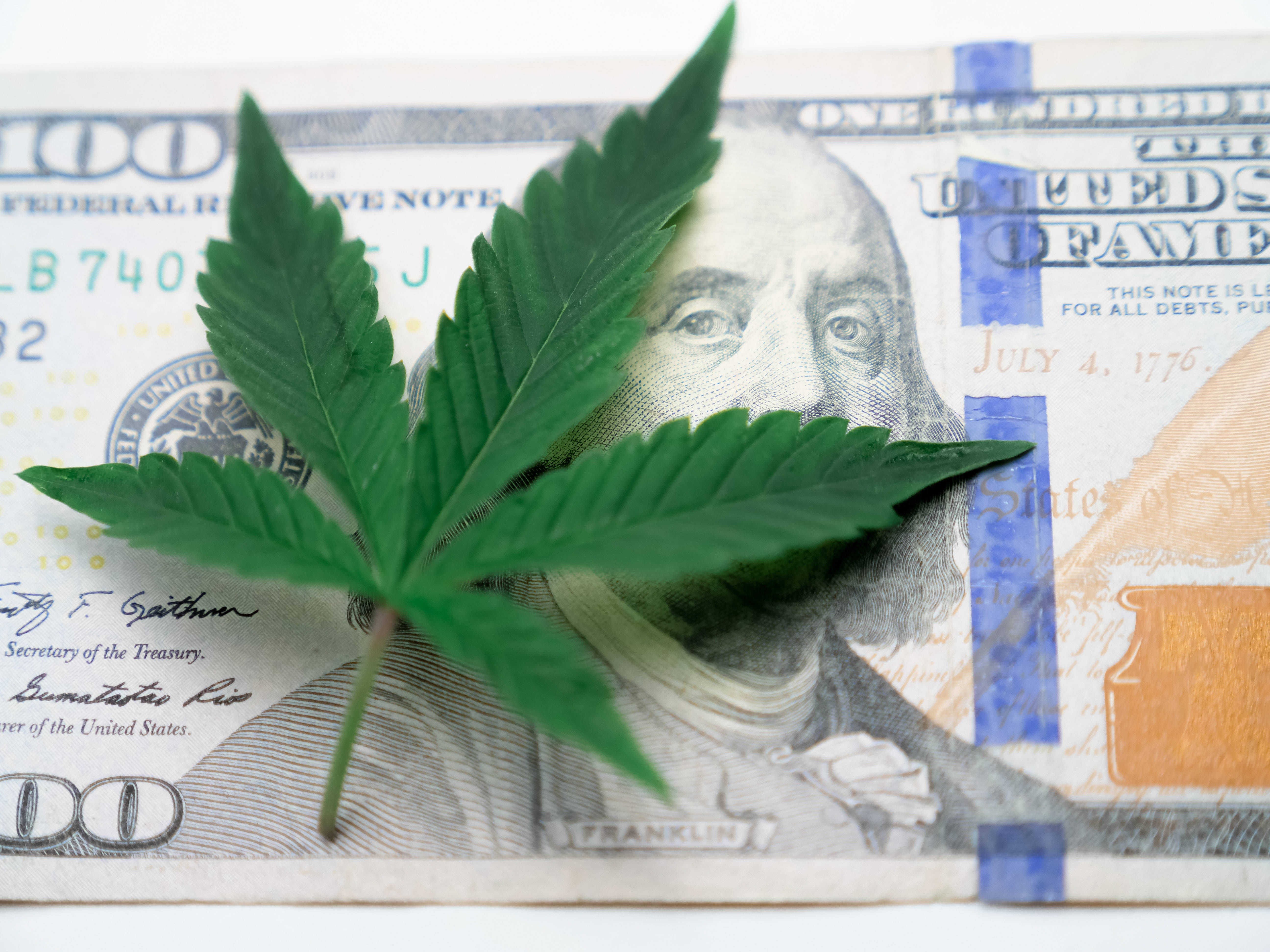 酷炫大麻 桌布 壁紙 — 一片充滿活力的綠色大麻葉放在一張清脆的一百美元鈔票上，背景是純白色。