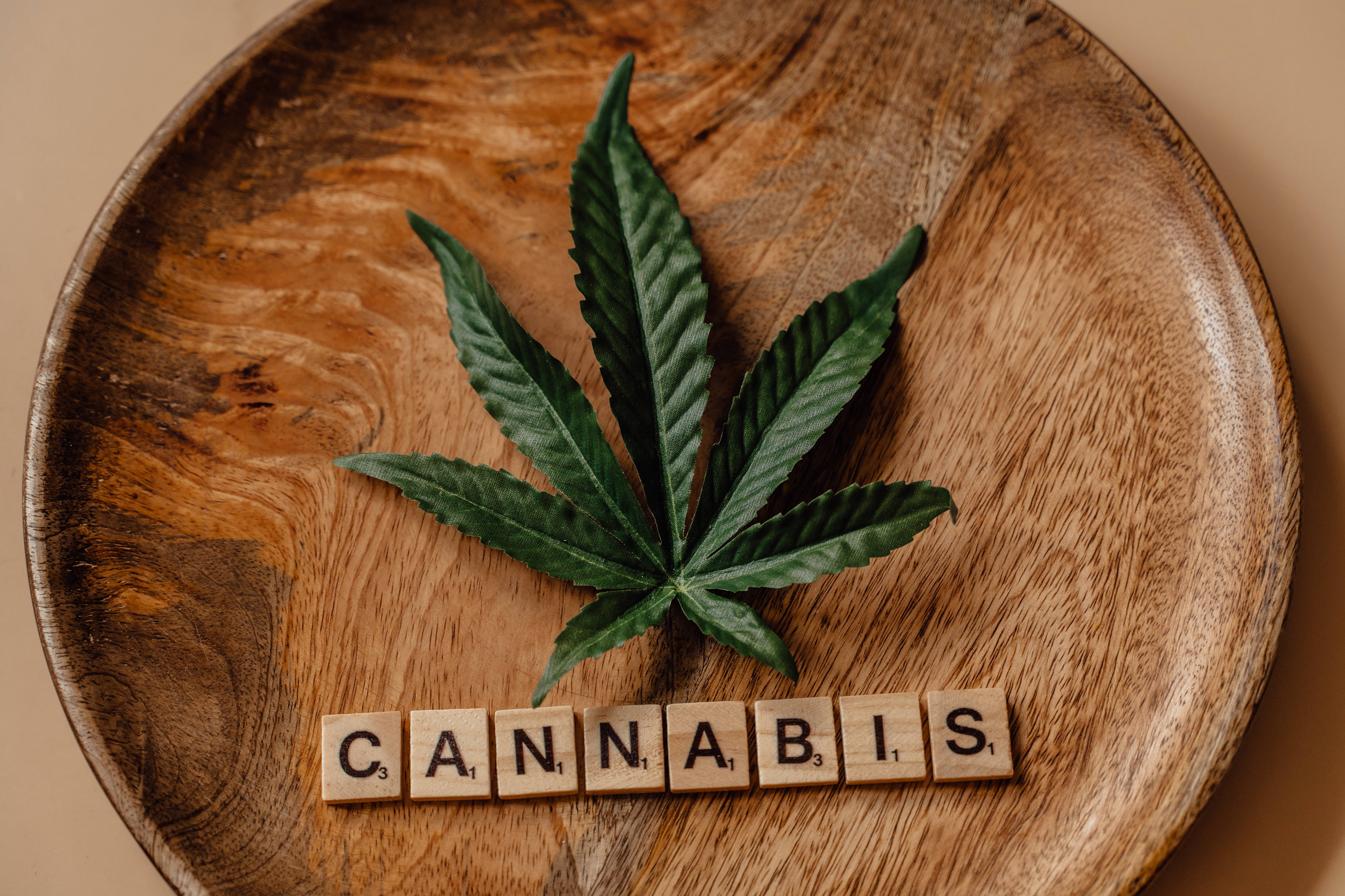 酷炫大麻 桌布 壁紙 — 一片充滿活力的綠色大麻葉放在質樸的木盤上，旁邊是拼出cannabis的木製拼字磚。
