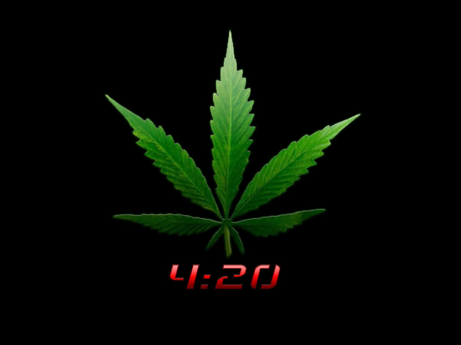 420 桌布 壁紙 — 一片充滿活力的綠色大麻葉置於黑色背景中央，下方有發光的紅色4:20文字。