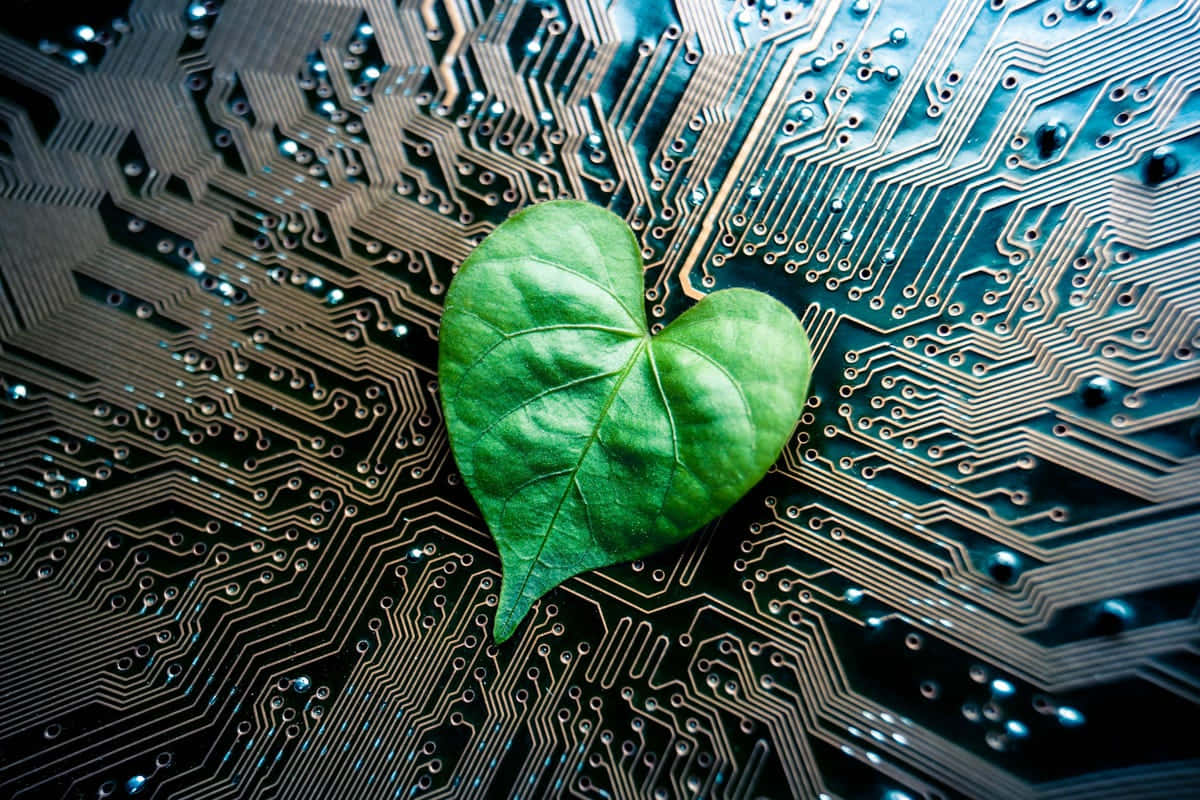 Green Technology 桌布 壁紙 — 一片充滿活力的綠色心形葉子放在精緻的藍色和金色電路板上，象徵自然與科技的和諧。