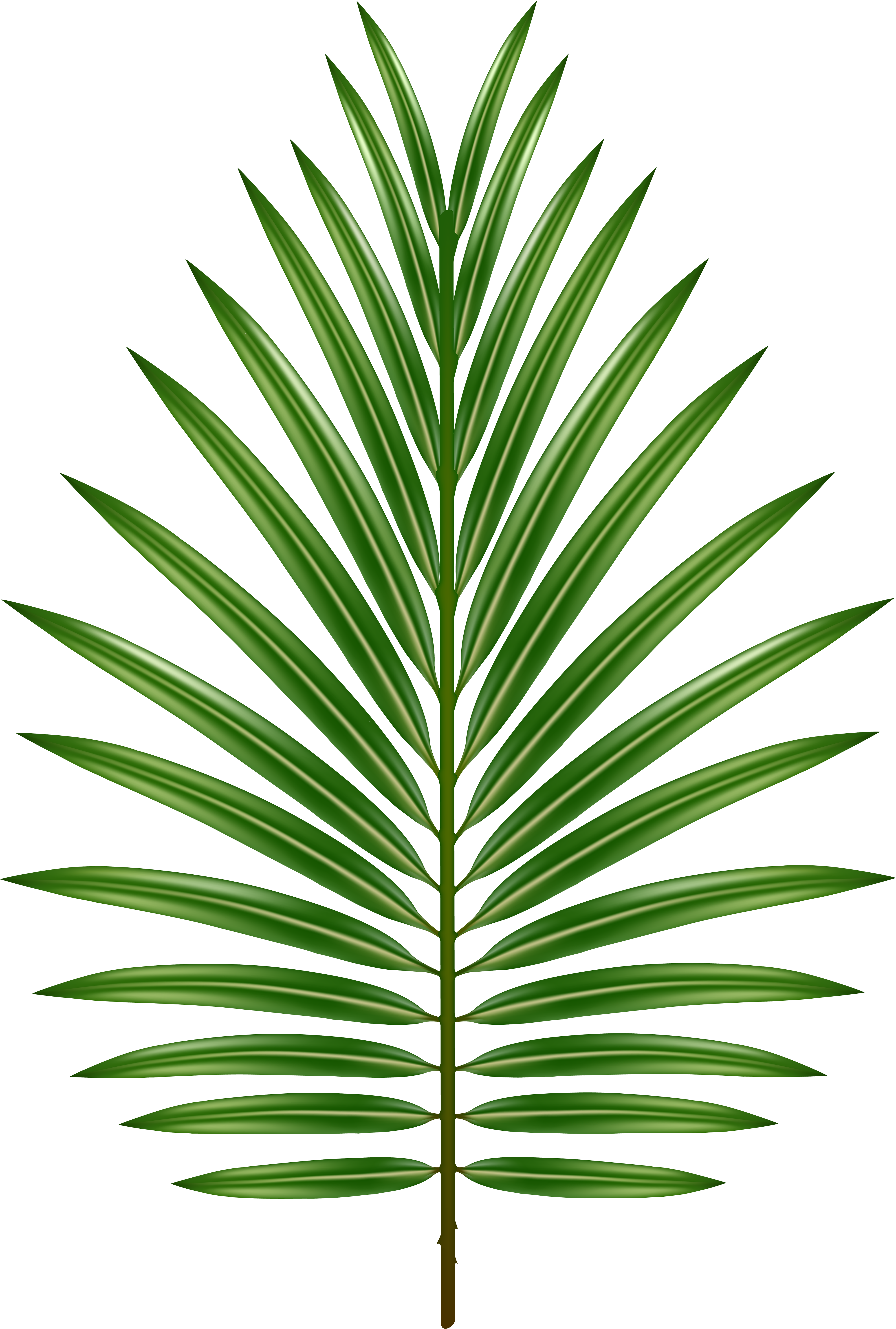 Green Leaf 桌布 壁紙 — 一片充滿活力的綠色棕櫚葉，帶有細緻的葉脈，在柔和的青綠色背景上脫穎而出。