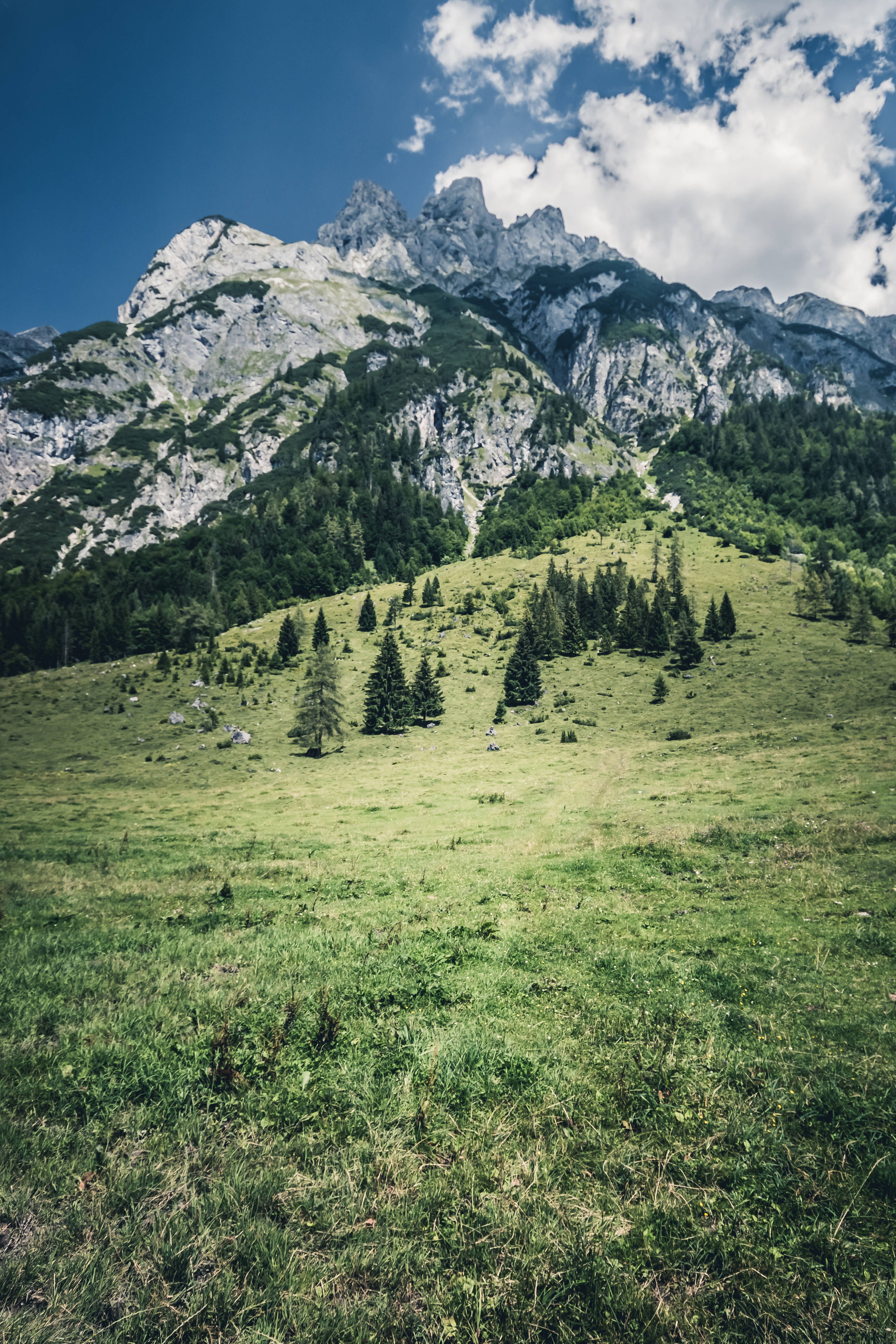 Austria 桌布 壁紙 — 一片充滿活力的綠色草地向上傾斜，朝向高聳的鋸齒狀山脈，在明亮的藍天下有蓬鬆的白雲。