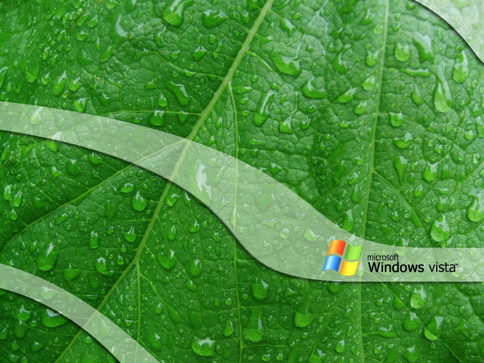 帶有水珠的綠色葉子和Windows Vista標誌疊加層。 — Windows Vista 動態圖片 壁紙
